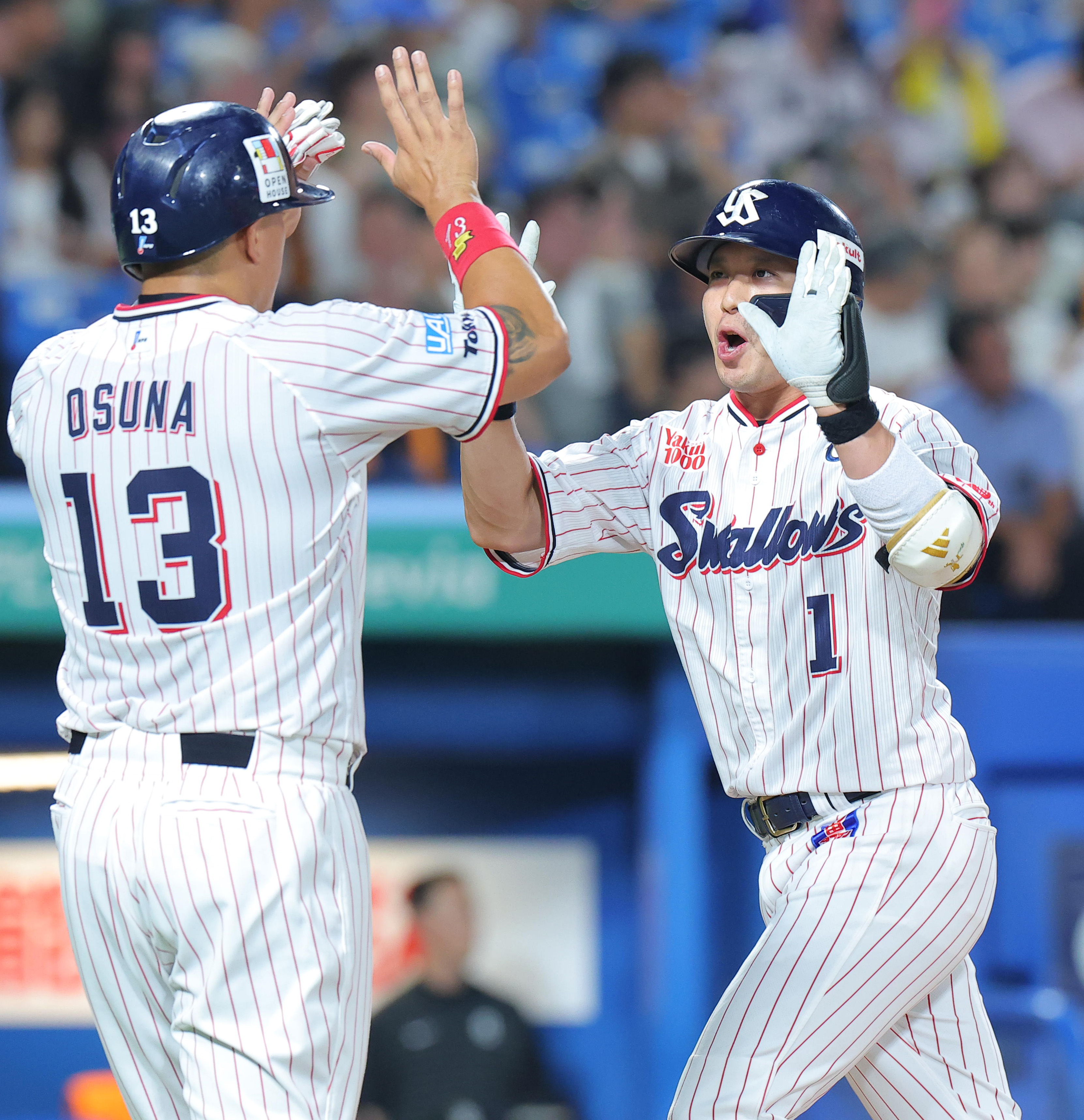 東京ヤクルトスワローズ☆ボブルヘッドセット☆新品未使用☆山田哲人☆村上宗隆 東京ヤクルトスワローズ☆ボブルヘッドセット☆新品未使用☆山田哲人