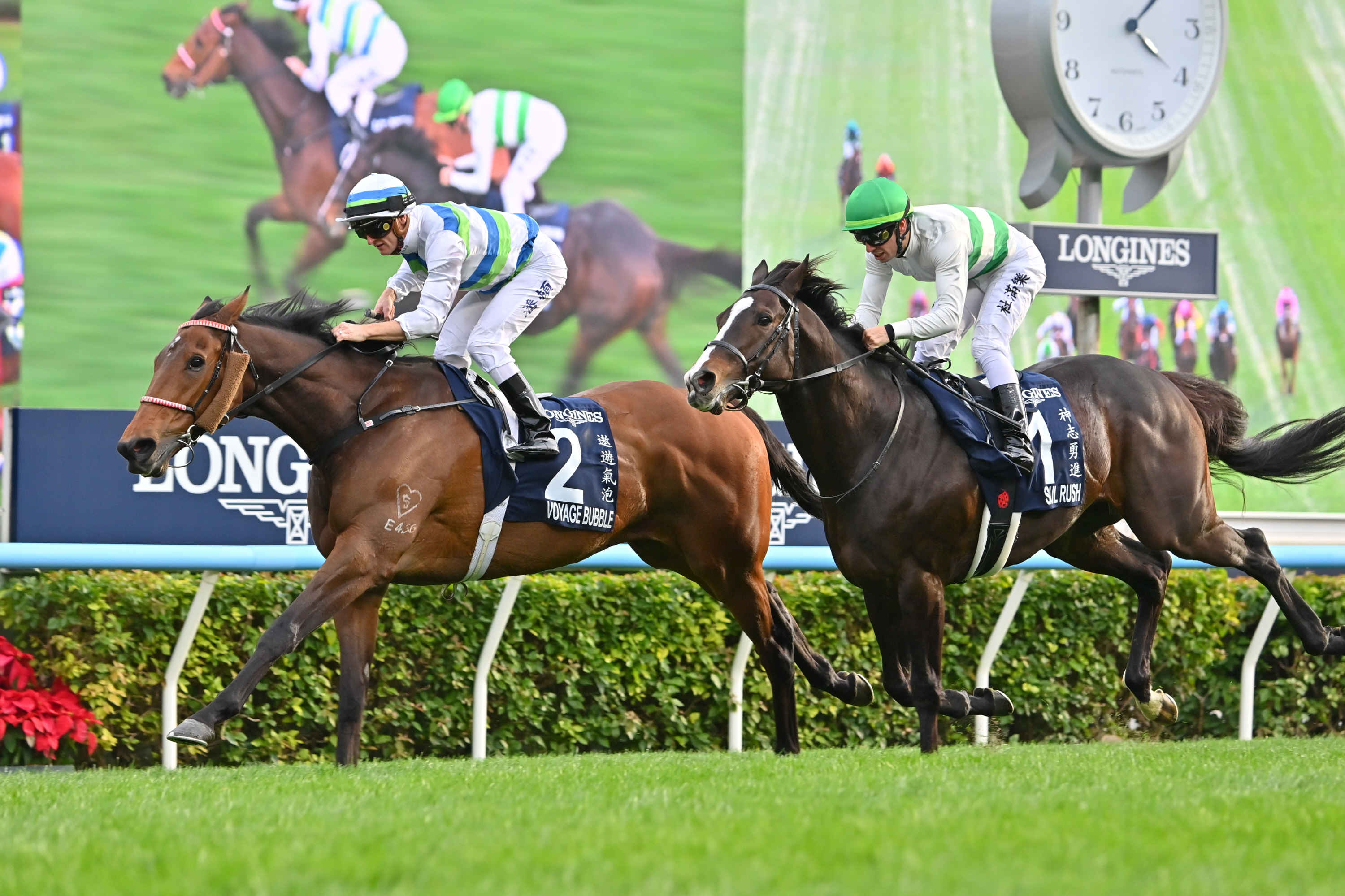 ラストランの香港マイル2着ソウルラッシュはブリーダーズSSで種牡馬