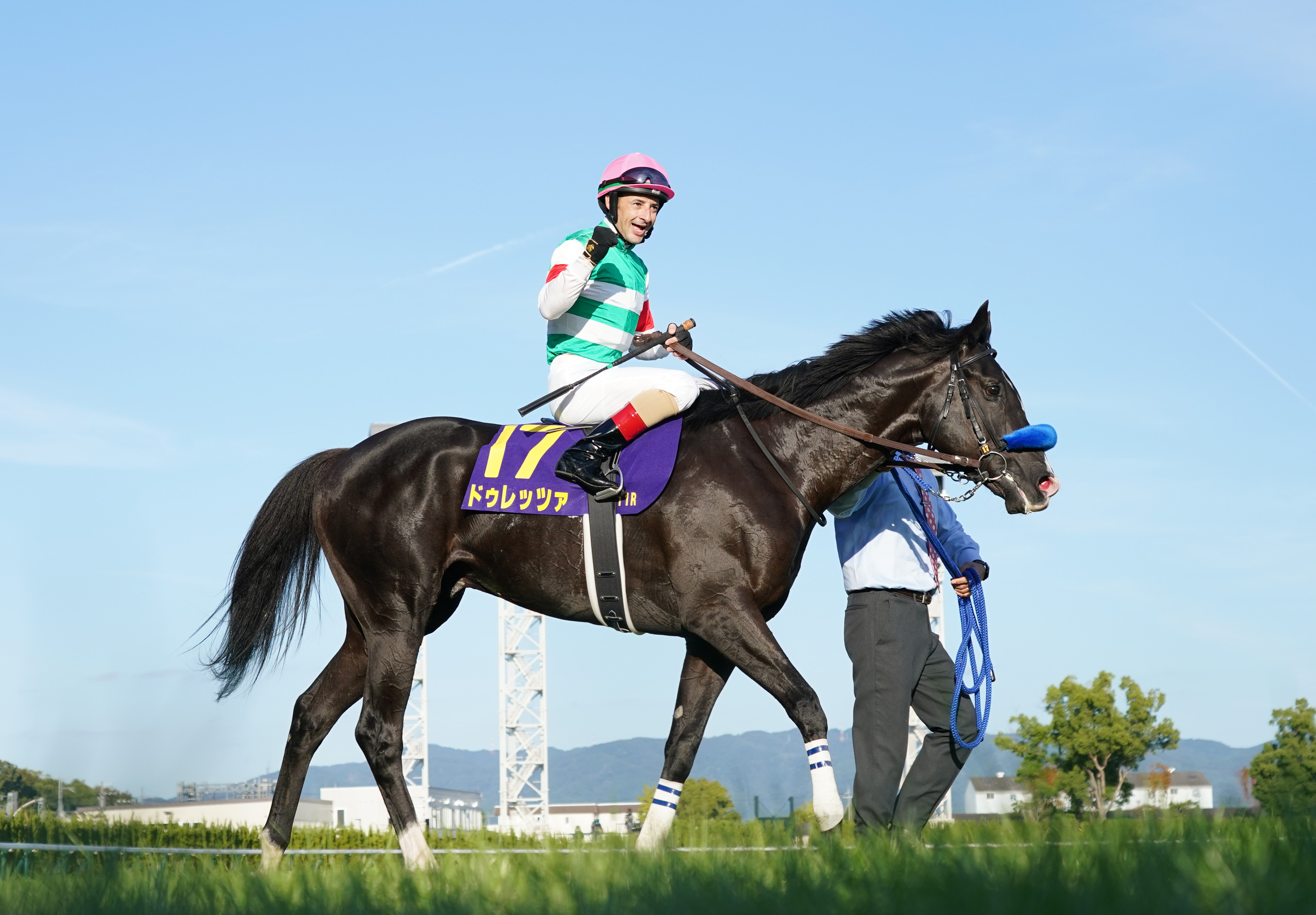 競馬］ドゥレッツァ・フィギュア／JRA 安い割引 - コレクション