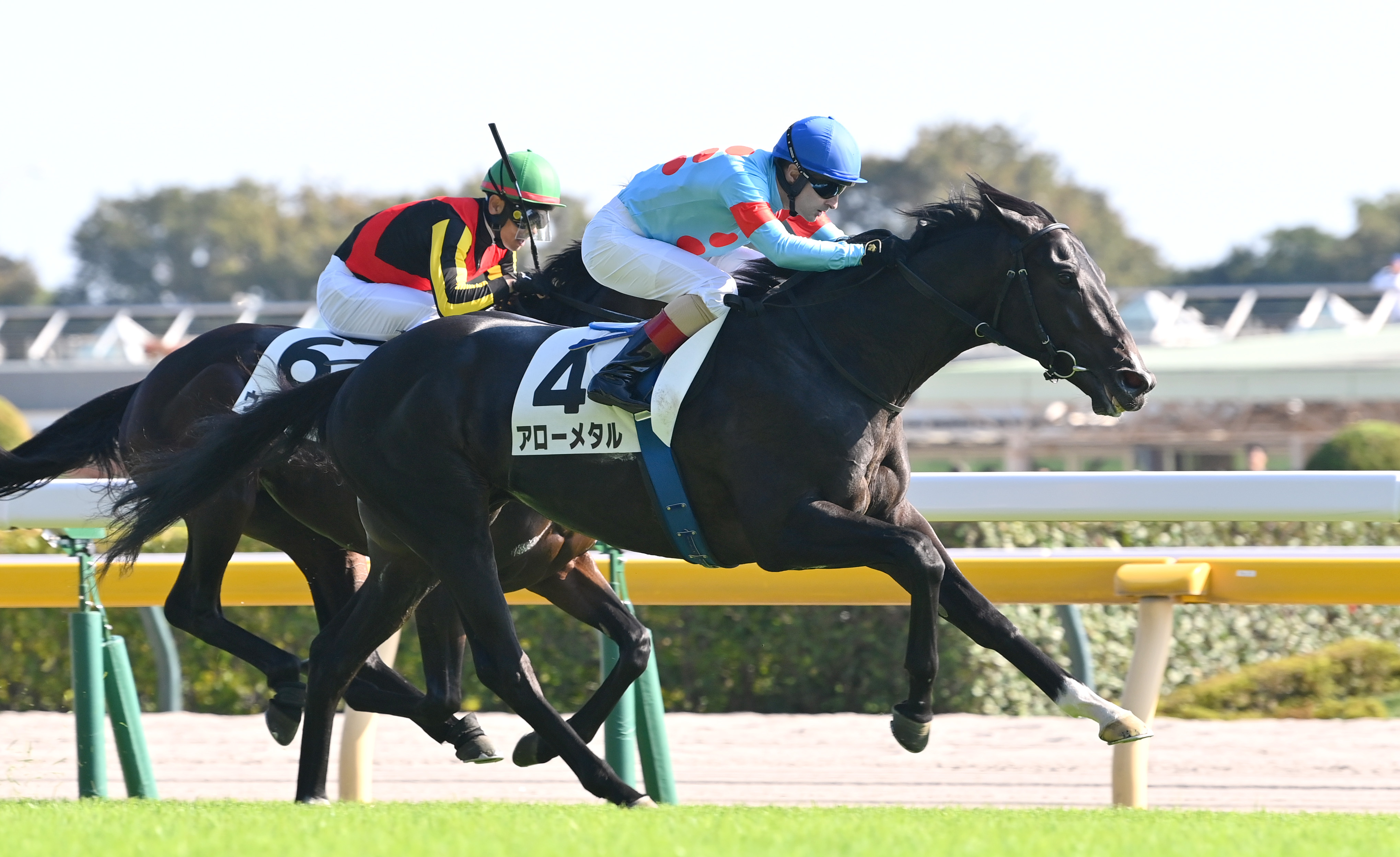 キズナ産駒がJRA通算1000勝達成 種牡馬として史上25頭目 - サンスポZBAT!