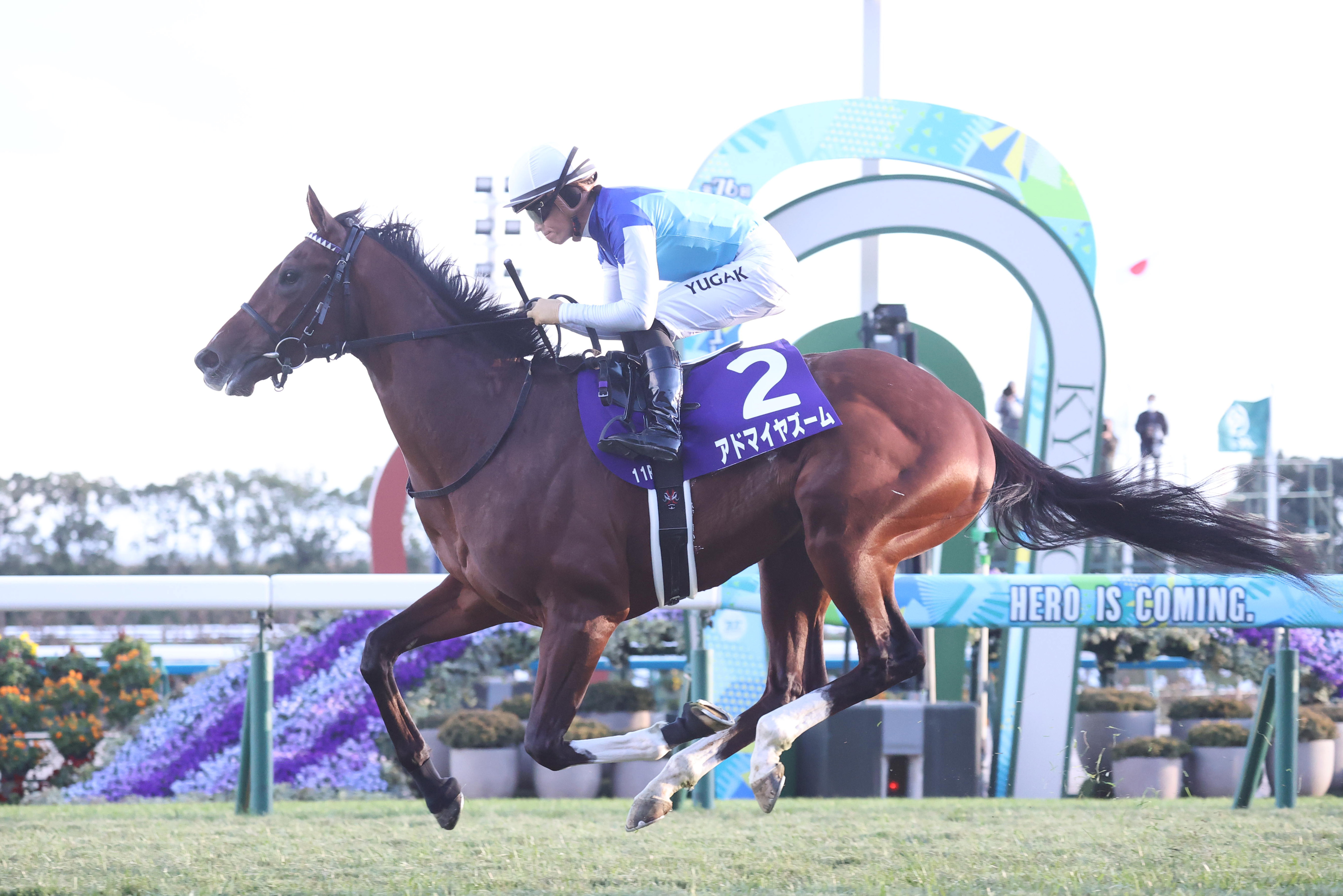 5番人気のアドマイヤズームが優勝、重賞初制覇 競馬の朝日杯FS - 産経
