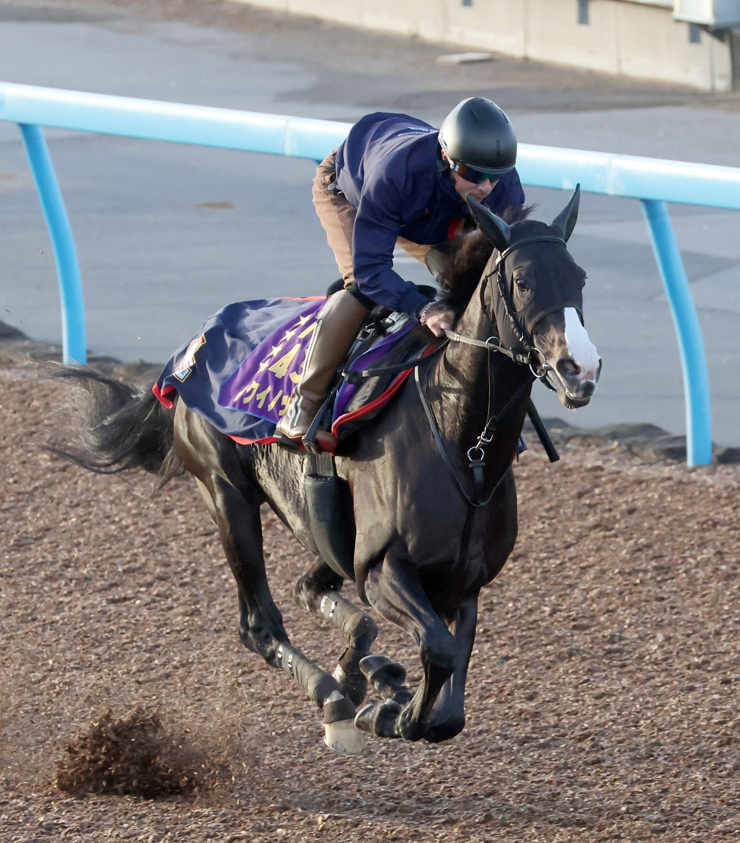 【天皇賞・秋】２週前追い イクイノックスは馬なりでラスト１２秒 ...