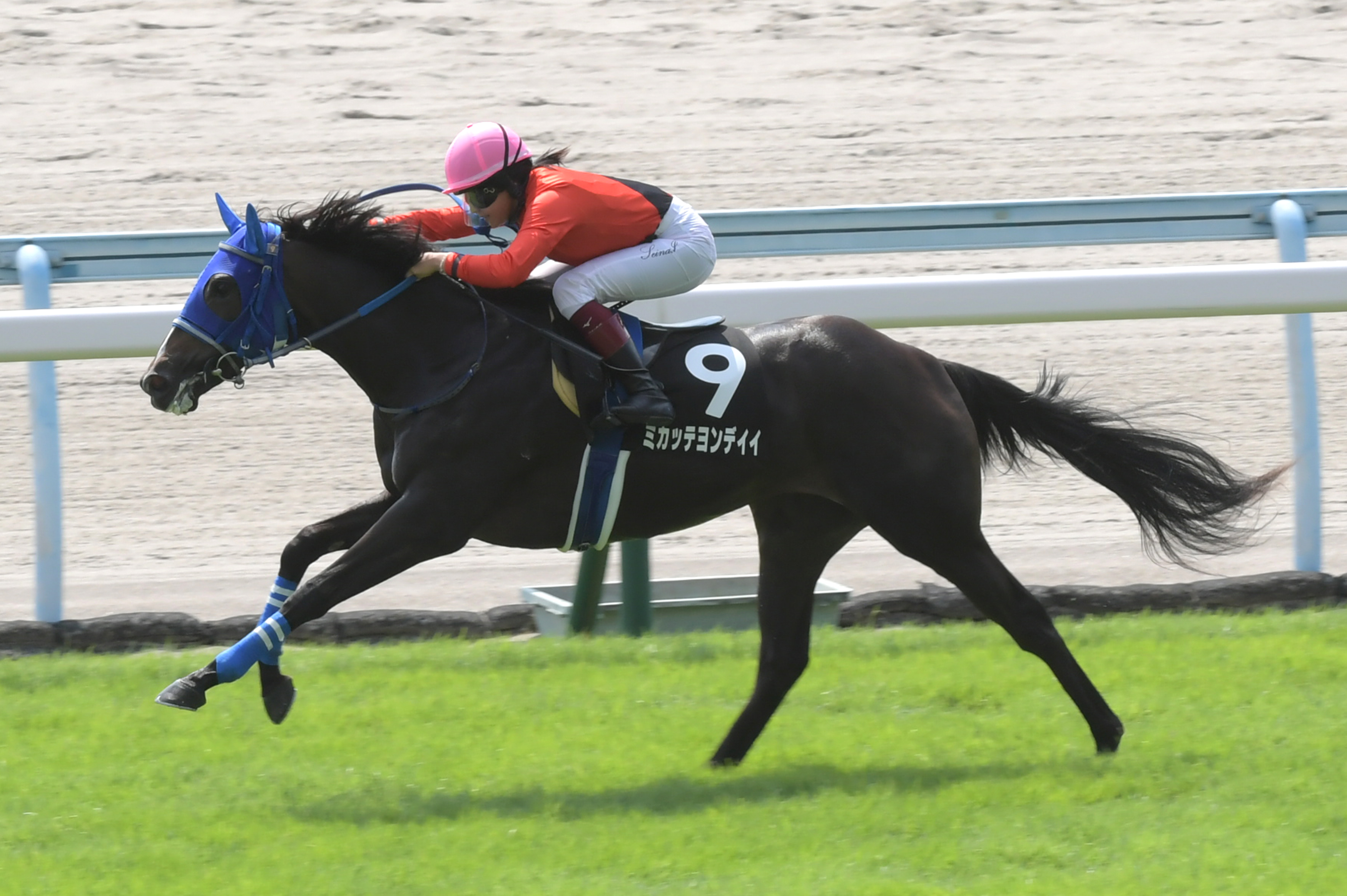 小倉２歳ｓ ミカッテヨンデイイが聖奈とのタッグで関東馬初ｖへ 堀内師 いい状態で向かえる サンスポzbat
