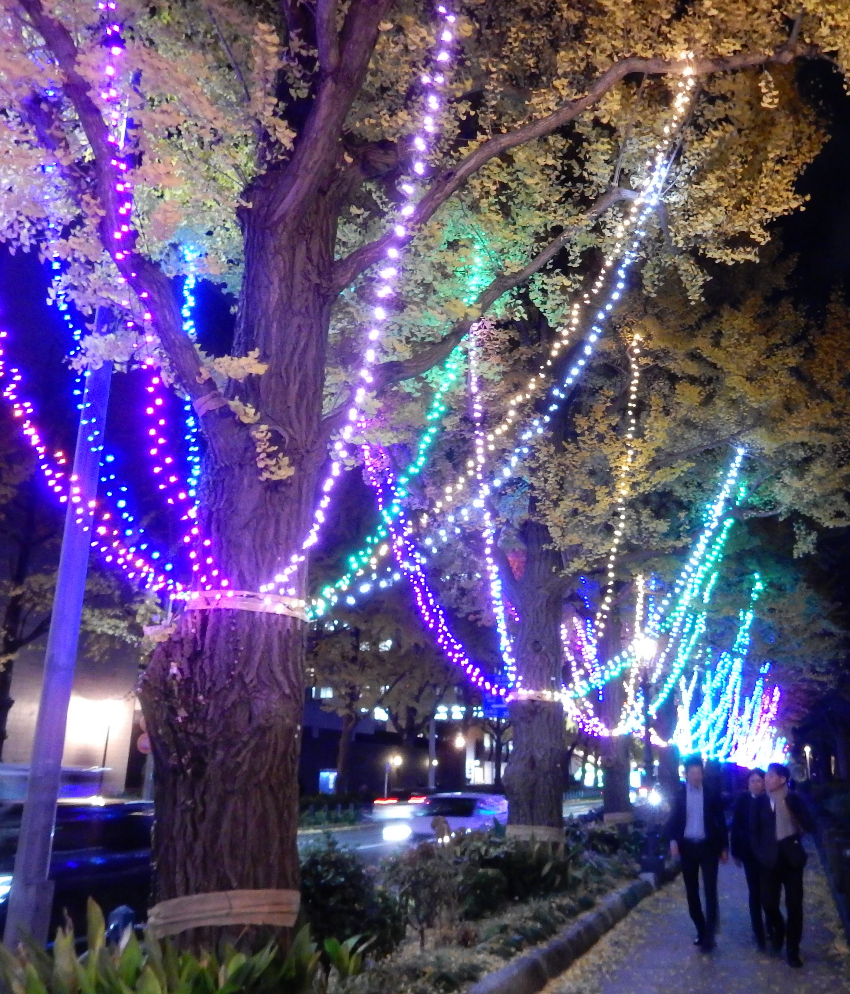 イルミネーション 国営昭和記念公園でイルミネーション「Winter Vista