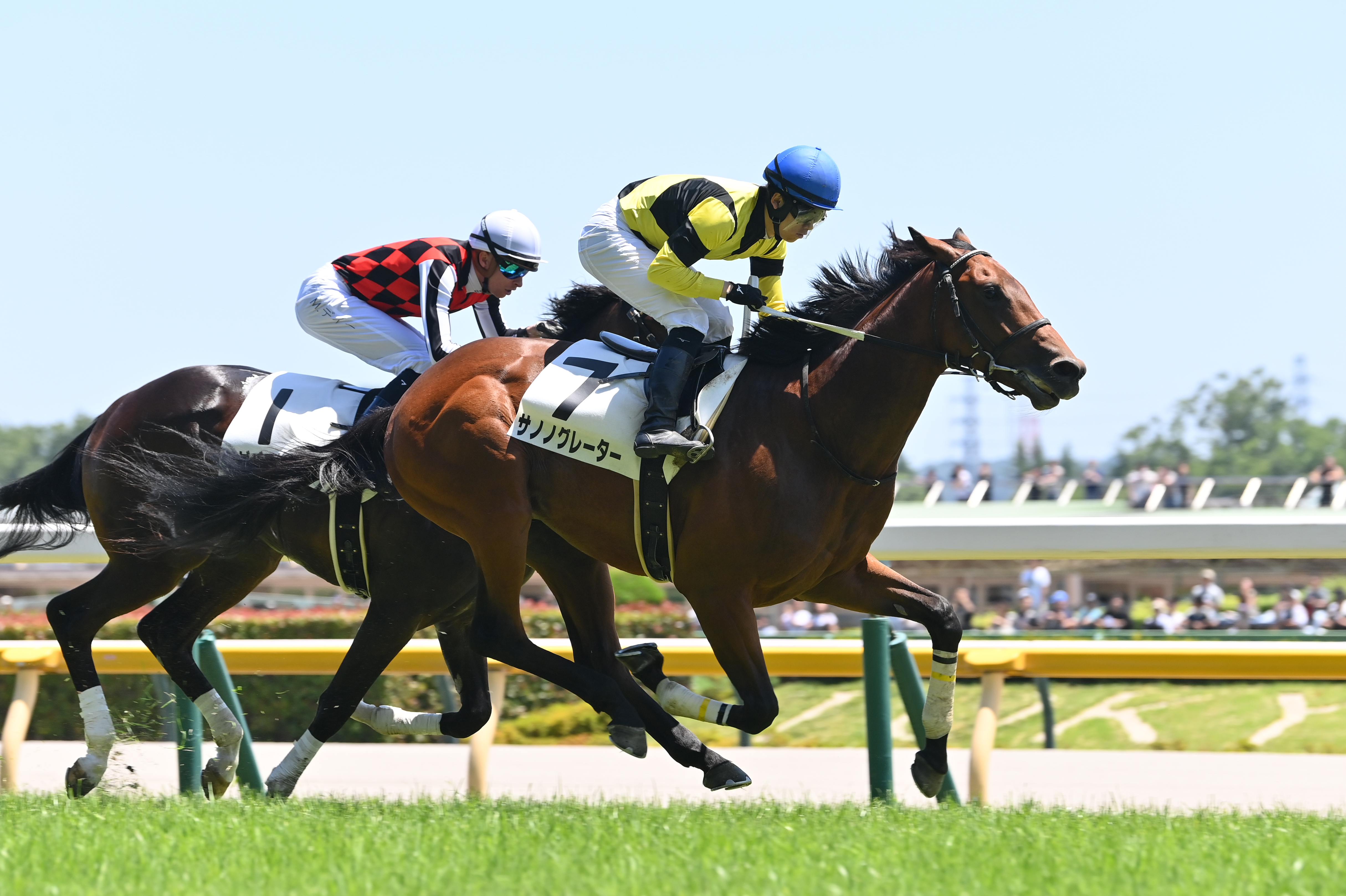 トミー コンピュータ競馬 馬之助 レア物 トミー コンピュータ競馬 馬之