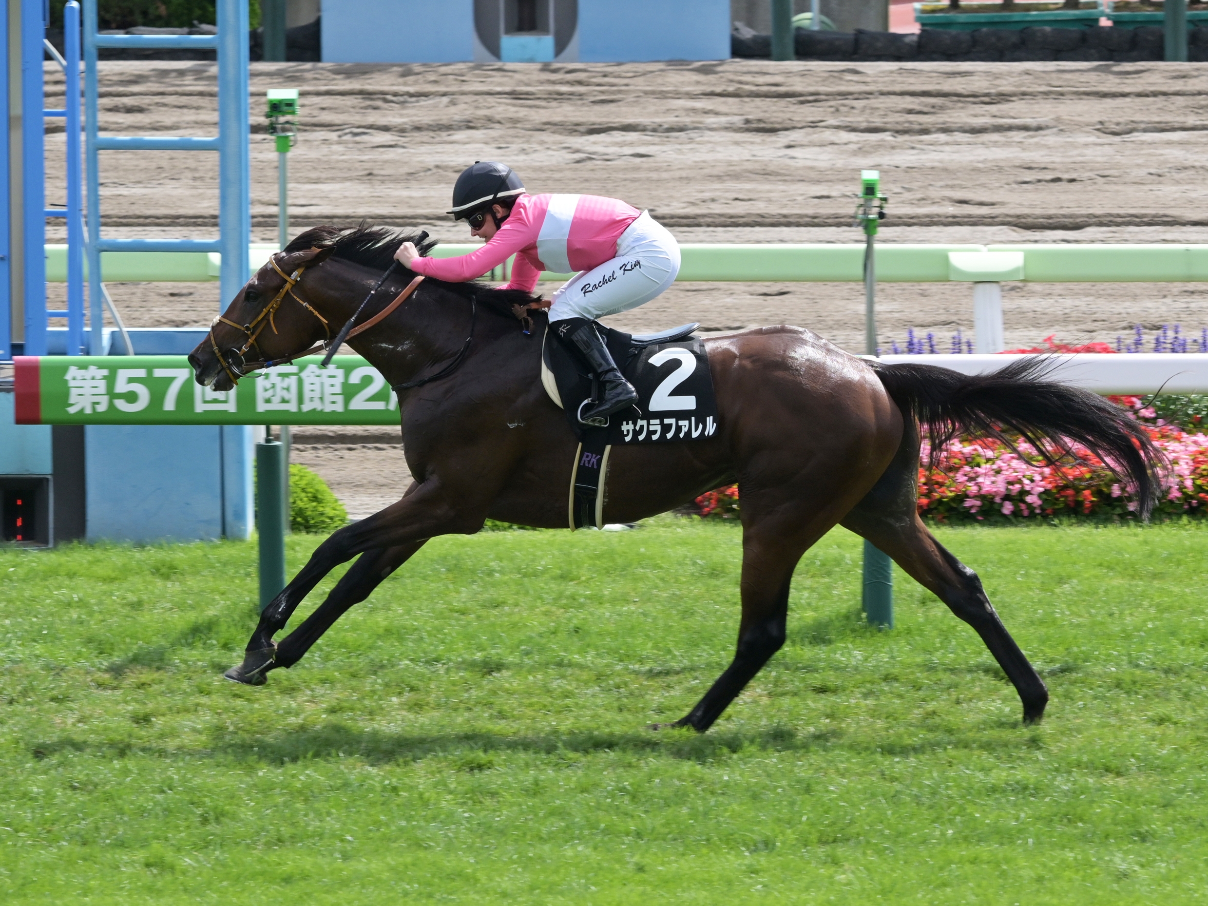 マルタ騎士騎馬像　新品　未開封 未開封 得る 新品 マルタ騎士騎馬像