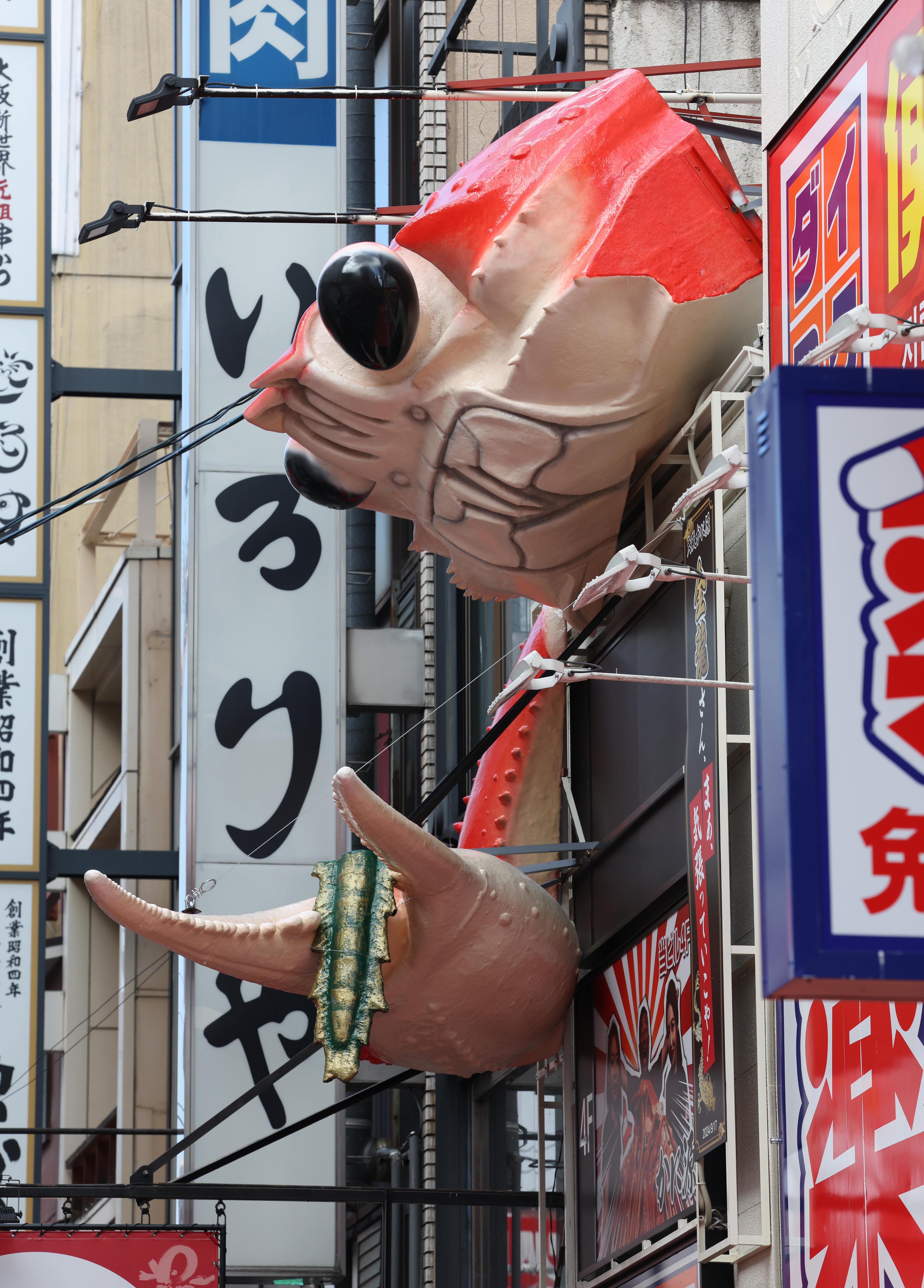 竜の尻尾、近隣店のカニに挟まれちゃった？ 訴訟で撤去の金龍ラーメン