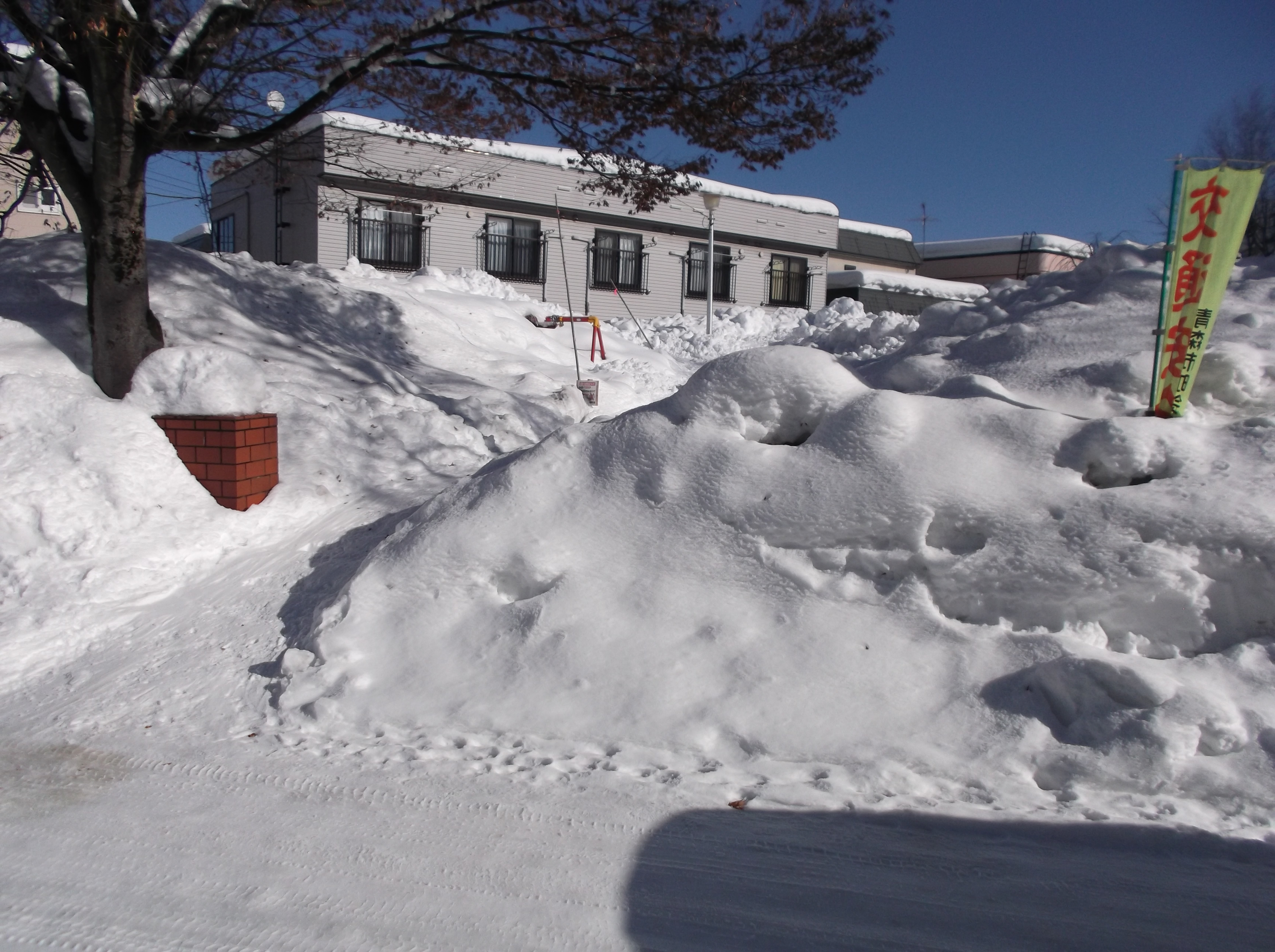 災害級の大雪」青森の宮下知事が危機感 雪害事故相次ぎ死者7人 住民 災害級の大雪」青森の宮下知事が危機感 雪害事故相次ぎ死者7人 住民