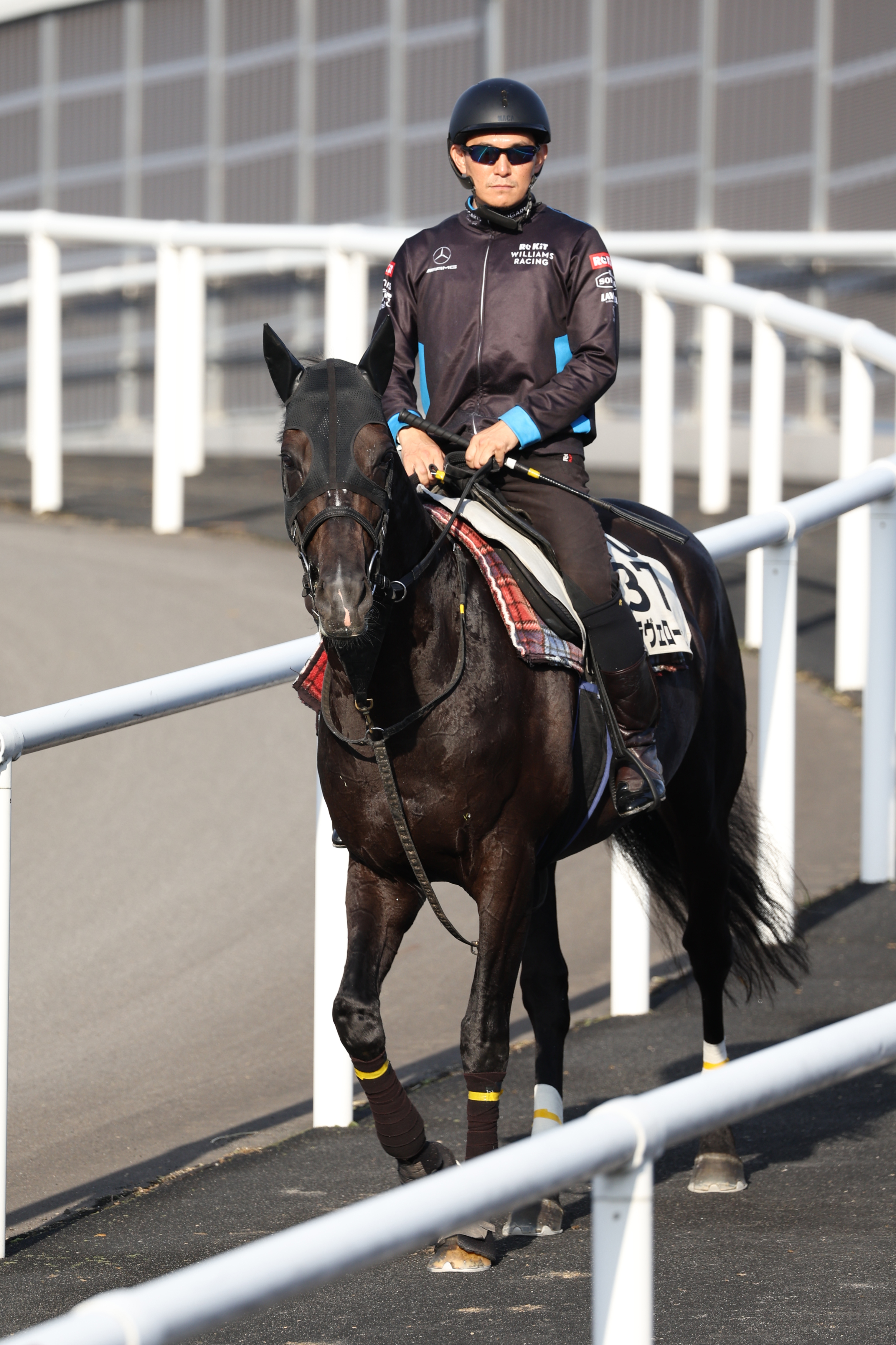 札幌記念】ステラヴェローチェ〝10日競馬〟で完全復活だ 山田助手