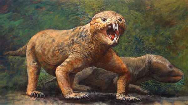 爬虫類と哺乳類の中間動物「トリティロドン類」の化石、高校生が発見 ...