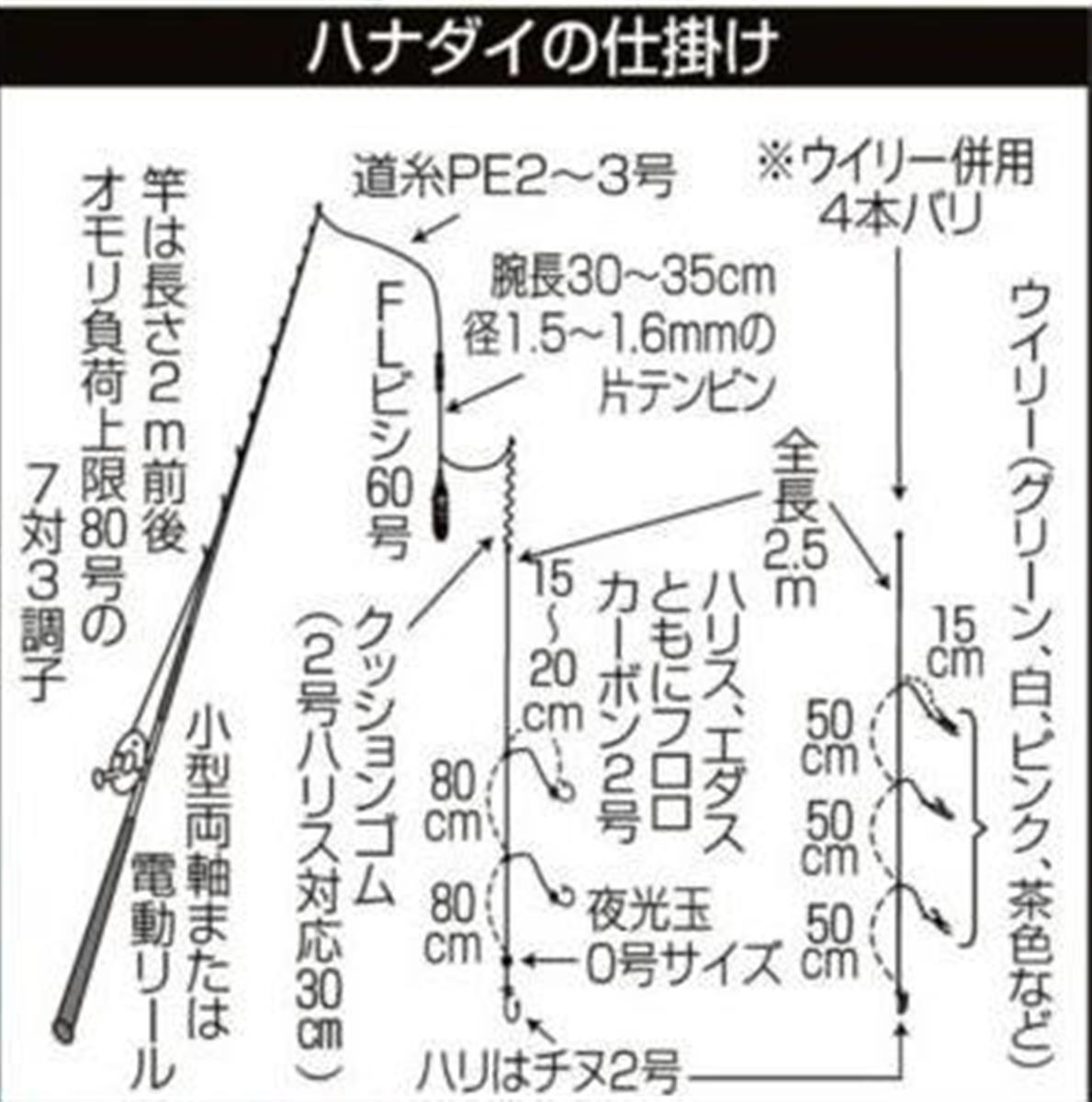 九十九里の海に大輪の花 ハナダイ ４０尾も サンスポ