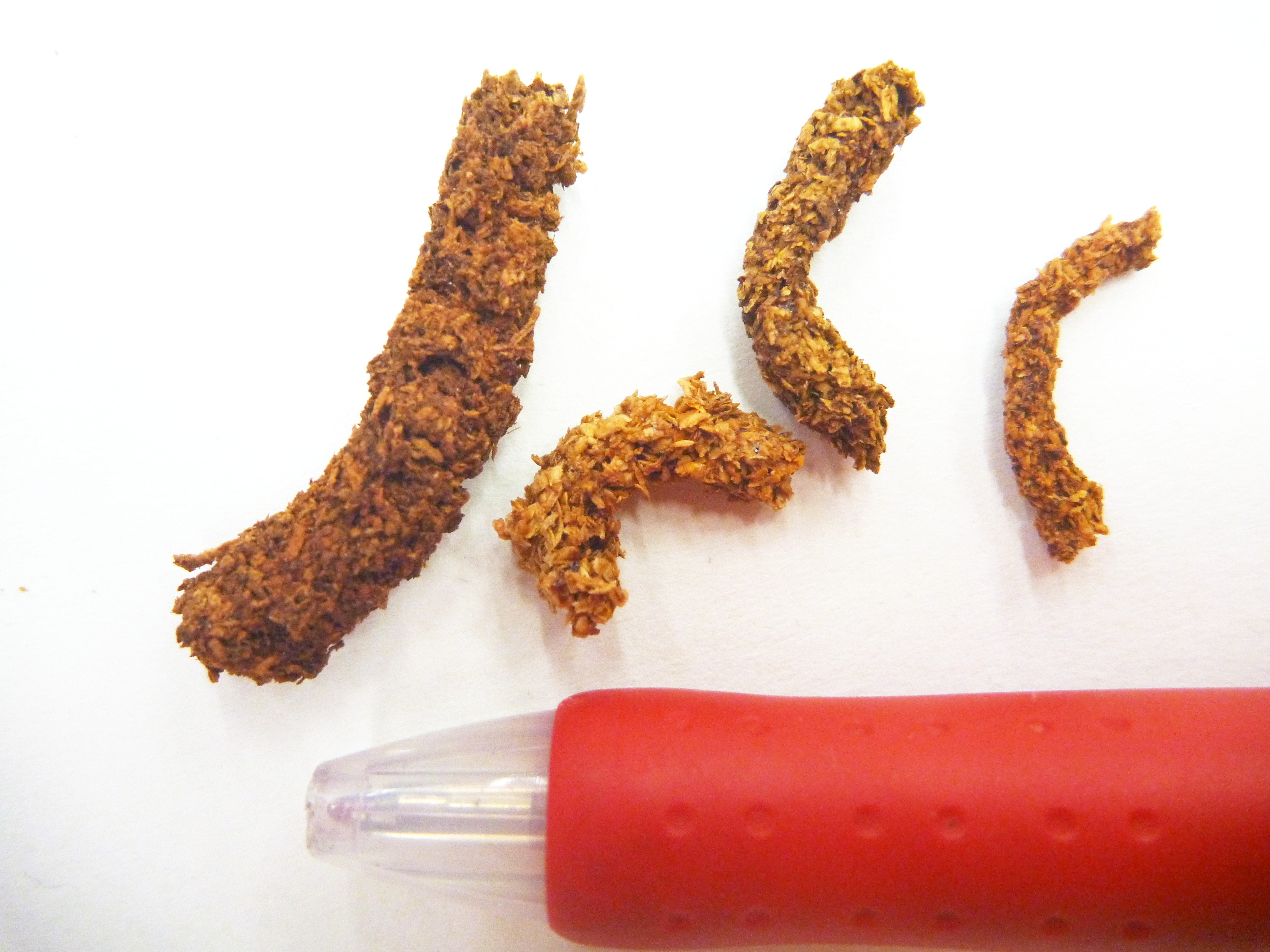 モモやサクラ枯らす外来カミキリムシの被害拡大 栃木・日光で初確認