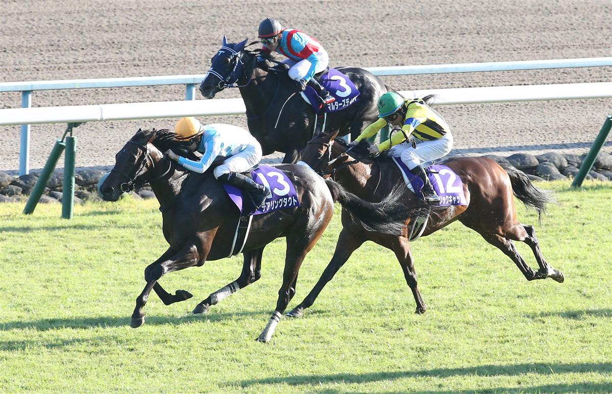 史上初の快挙！デアリングタクトが無敗牝馬3冠制覇／秋華賞 - サンスポ