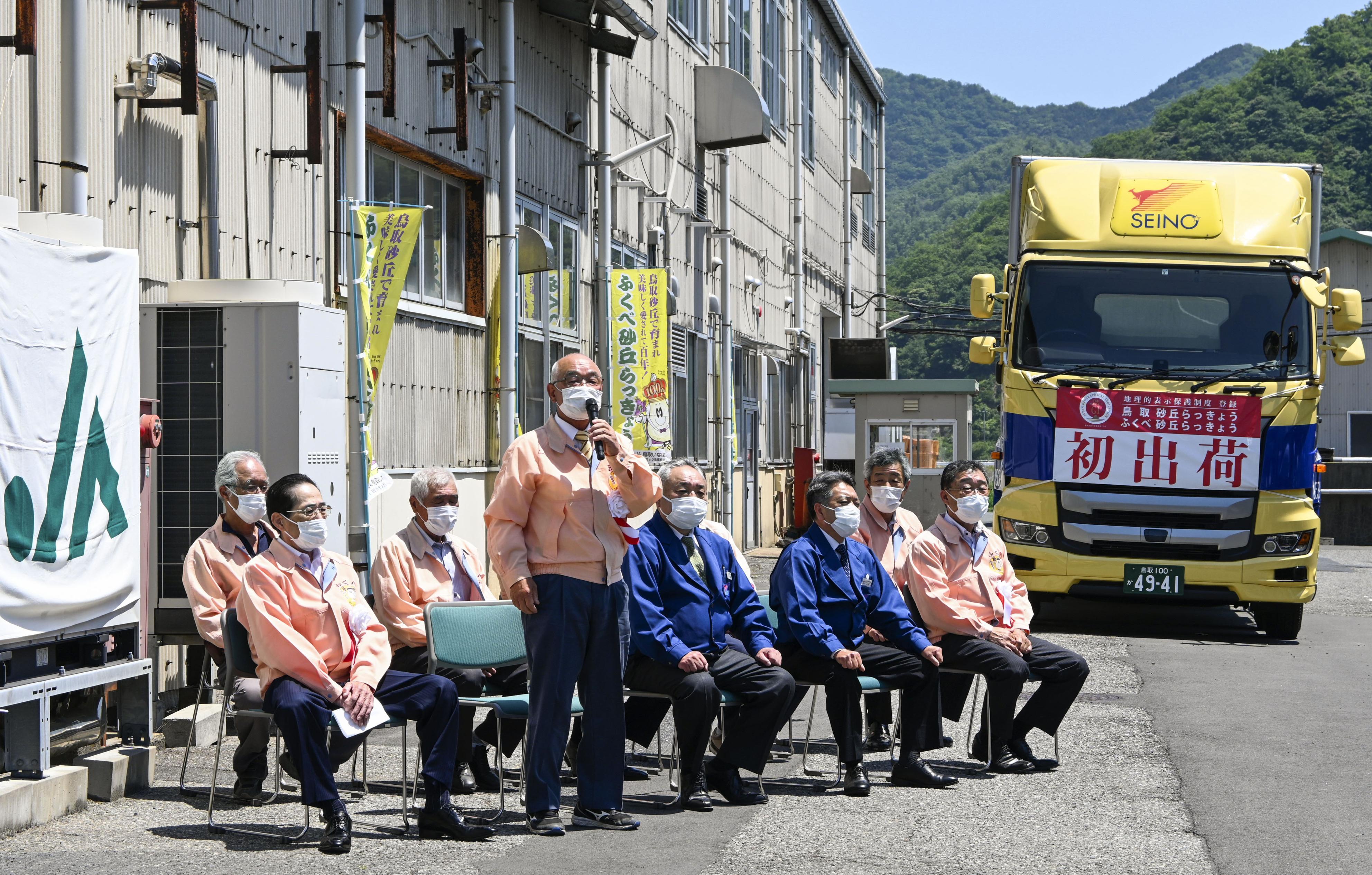 鳥取砂丘らっきょう」出荷 しゃきしゃき食感、国内有数の産地 - 産経