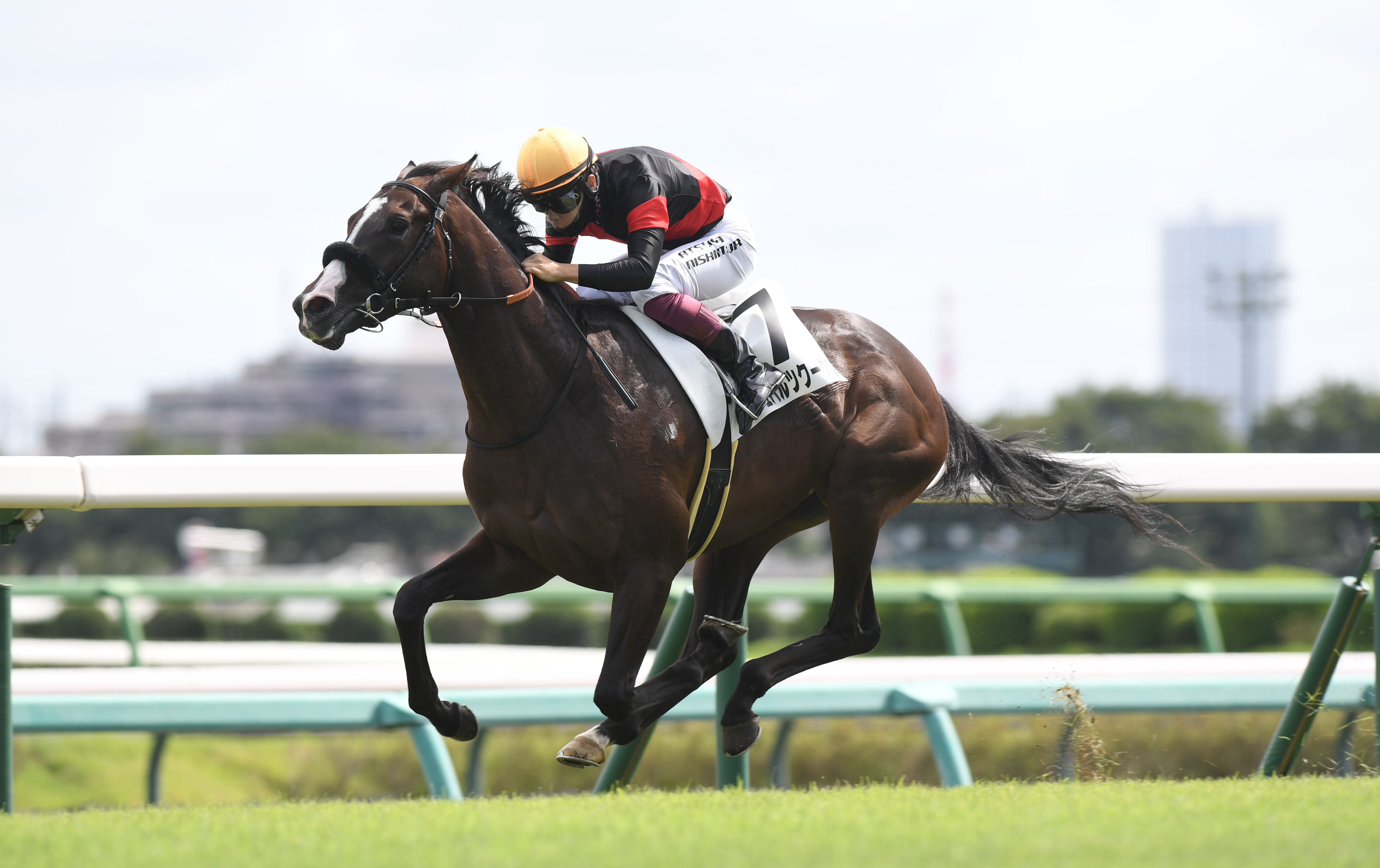 【２歳新馬・中山５Ｒ】シュバルツクーゲルが２番手から抜け出し ...