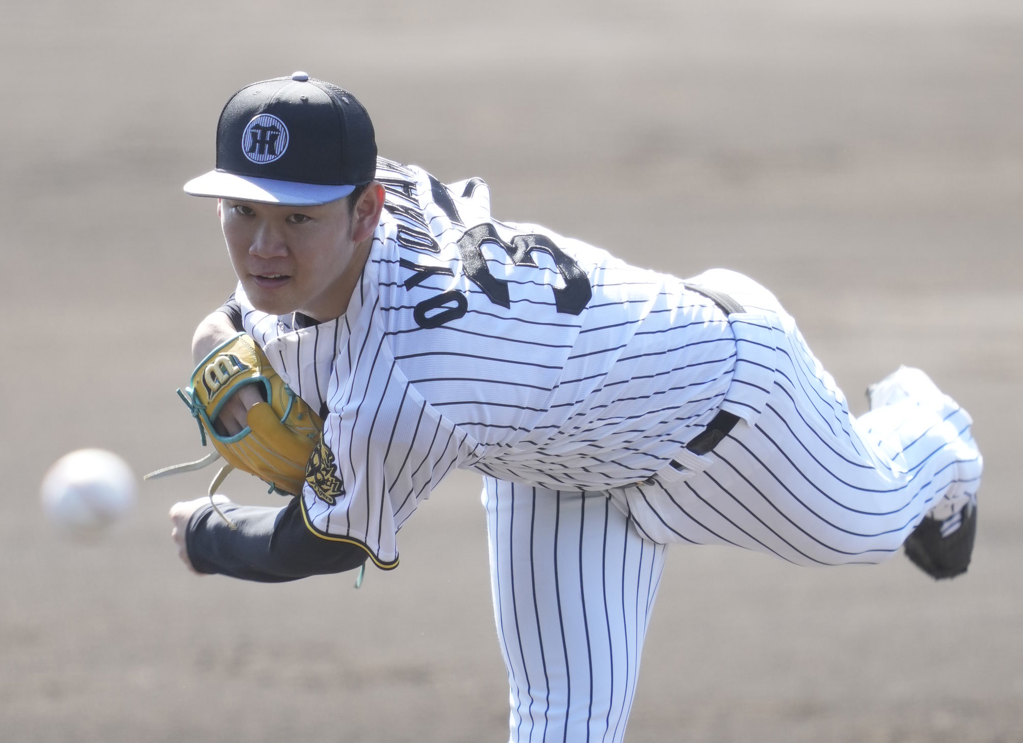 阪神タイガース 及川雅貴 BBM2021 阪神タイガース レギュラーカード No.T16 及川雅貴 : かーど屋