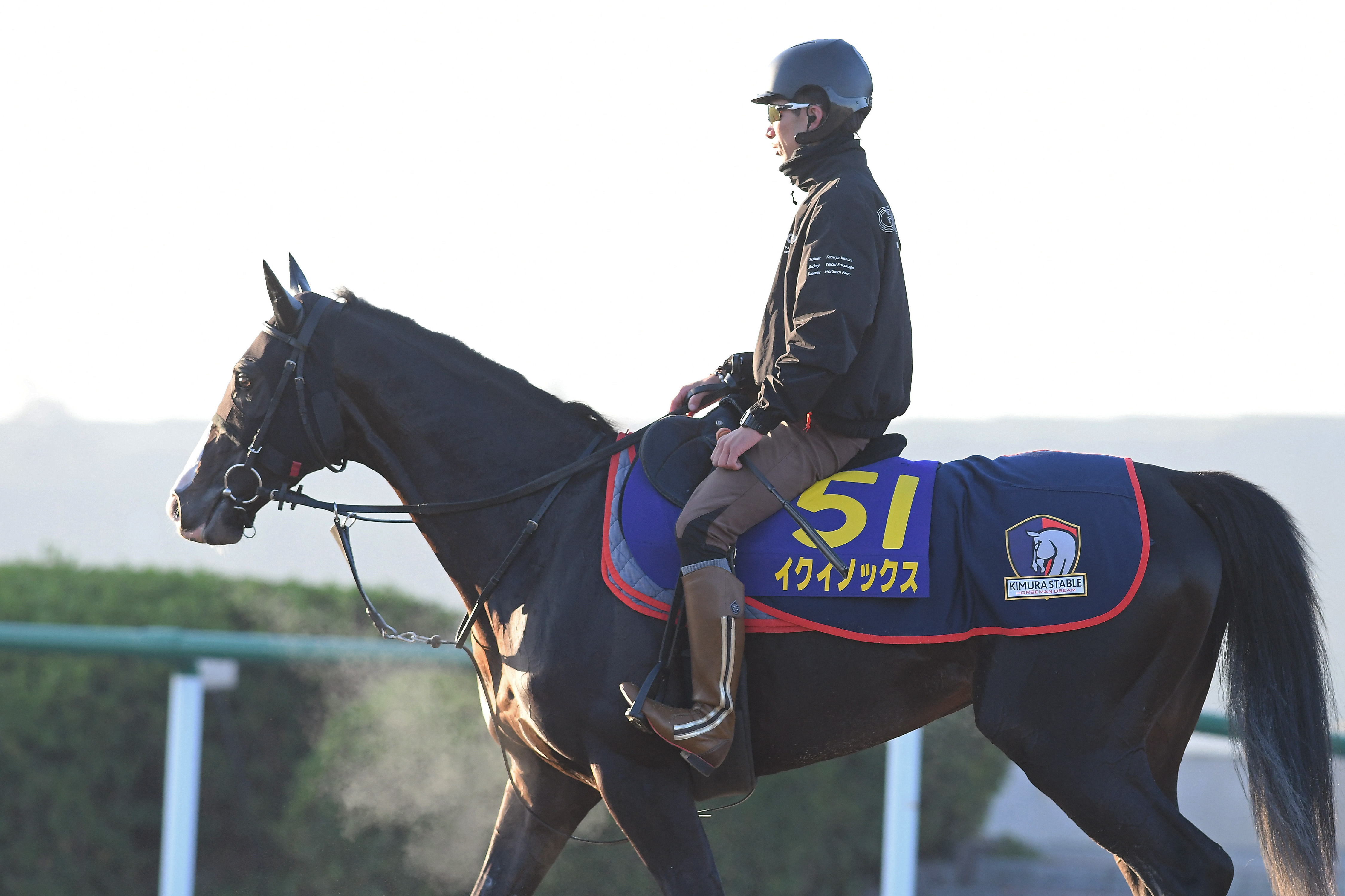 ジャパンC】GⅠ6連勝＆総獲得賞金20億円超へ！ 絶対王者イク