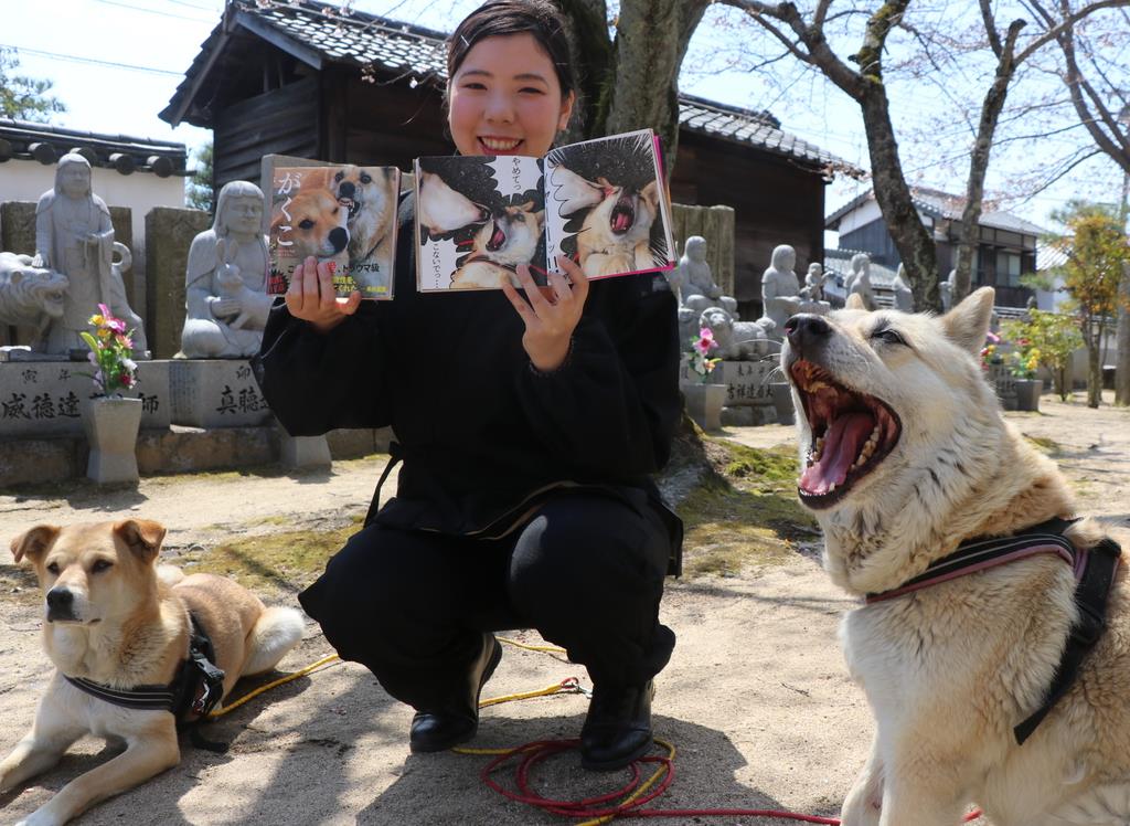 雑種犬の愛情表現を写真集に 岡山 産経ニュース