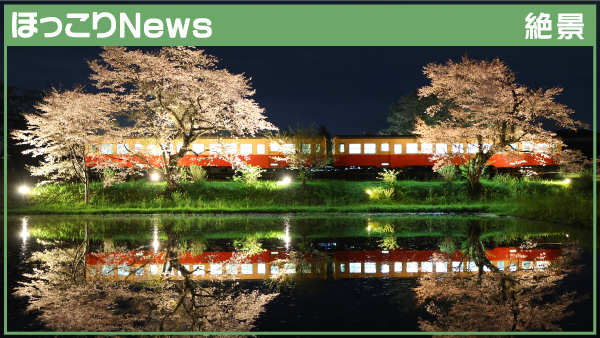 雨風に乗る甘い香り、幻想の世界に誘う樹齢160年の大藤 田んぼの水面に
