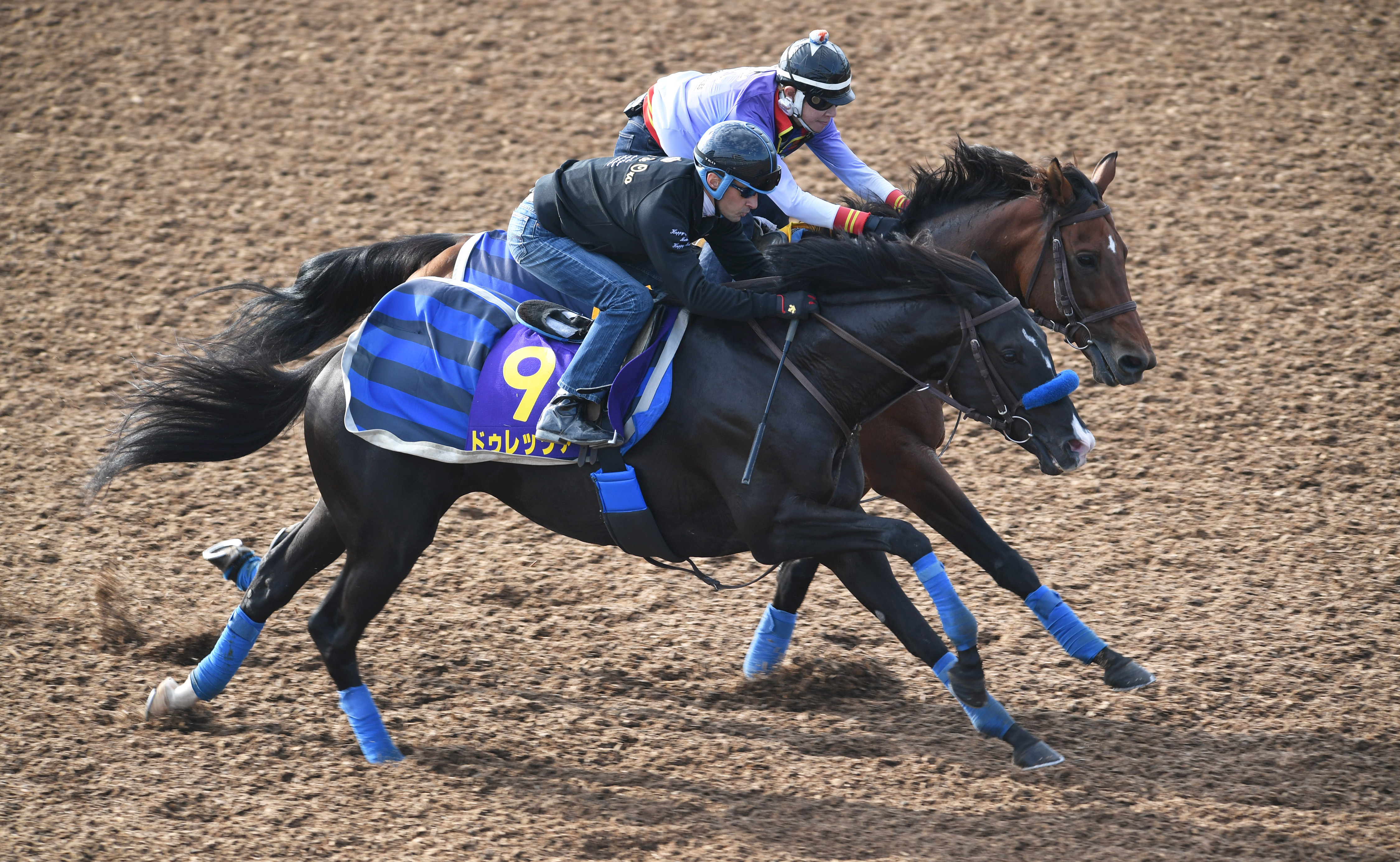 【菊花賞】４連勝中のドゥレッツァ ６ハロン８１秒９をマークし ...