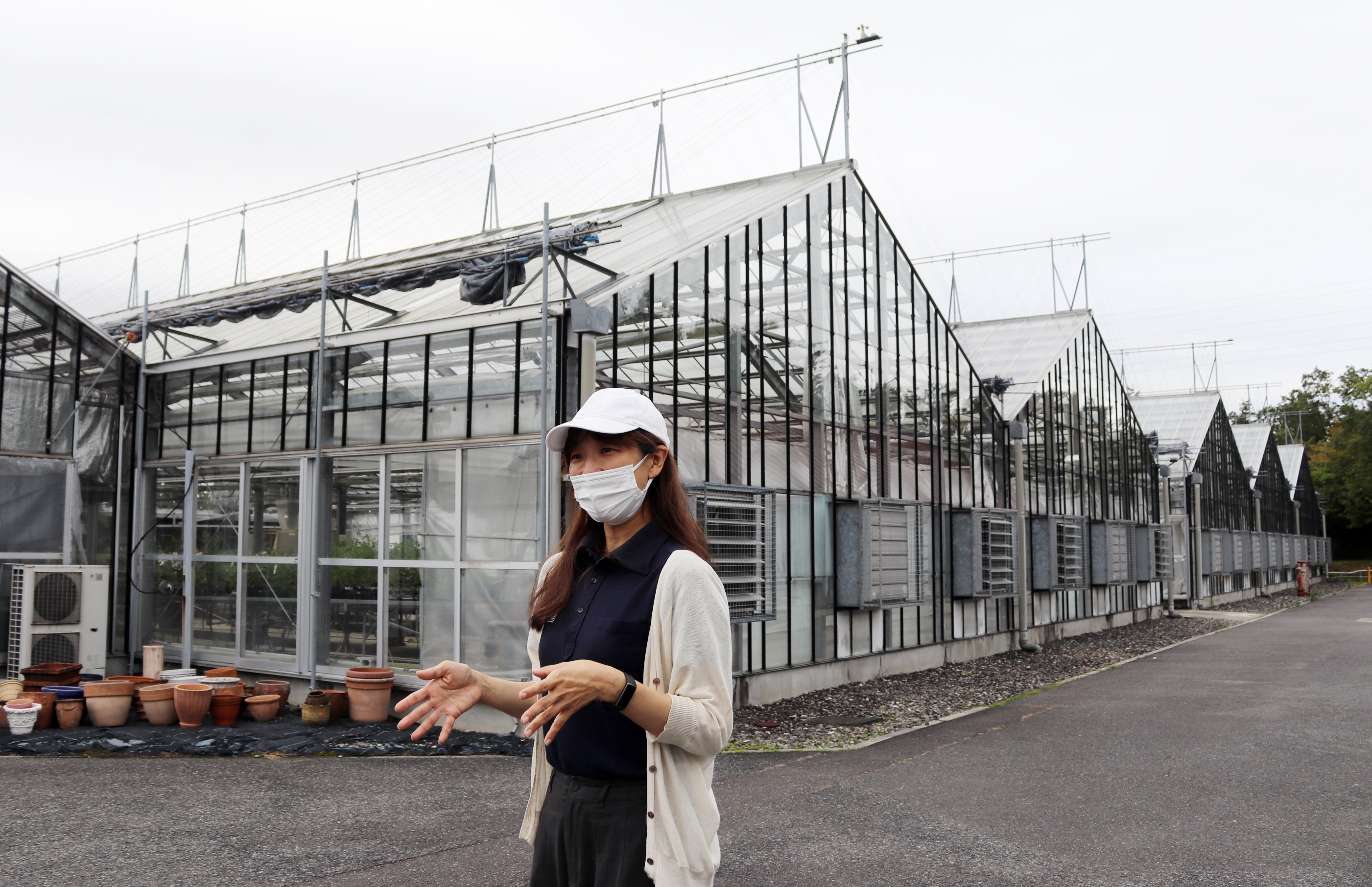 本気の想い 詰まってます サントリーの植物研究現場に潜入 産経ニュース