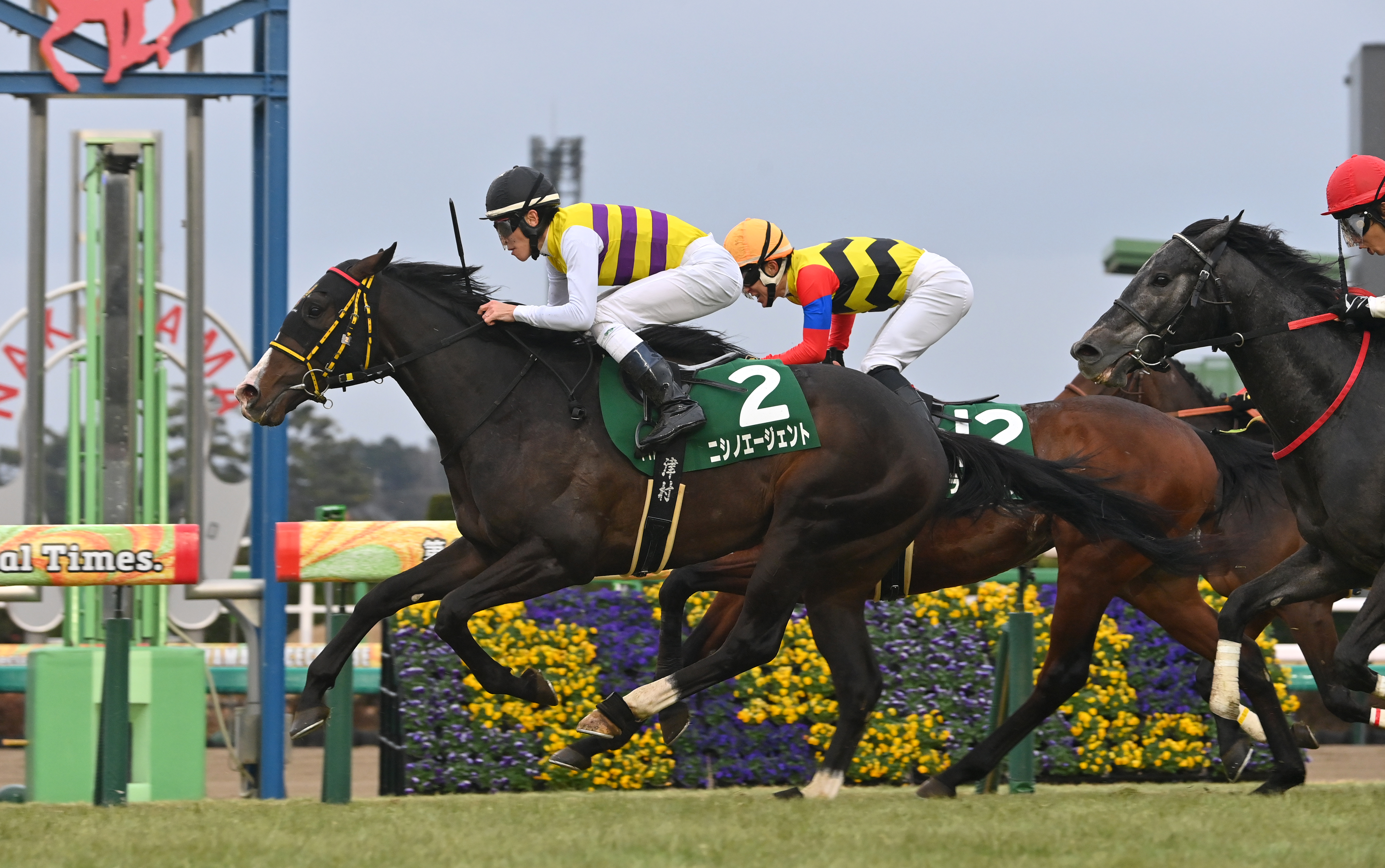 馬上杯 2025年最新】Yahoo!オークション -九谷 馬上杯の中古品・新品・未使用