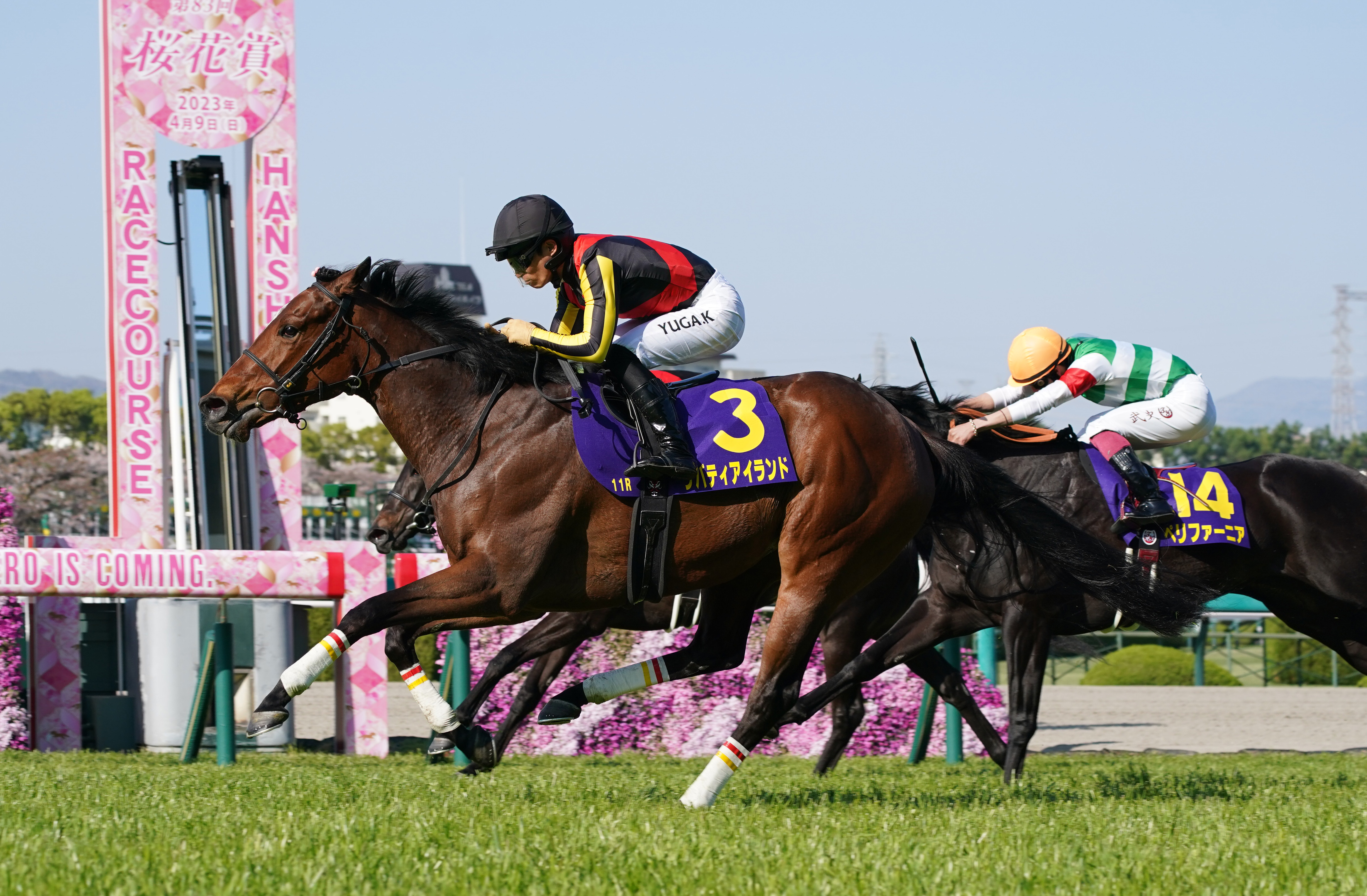 競馬.リバティアイランド.パネル.競馬ブック.桜花賞