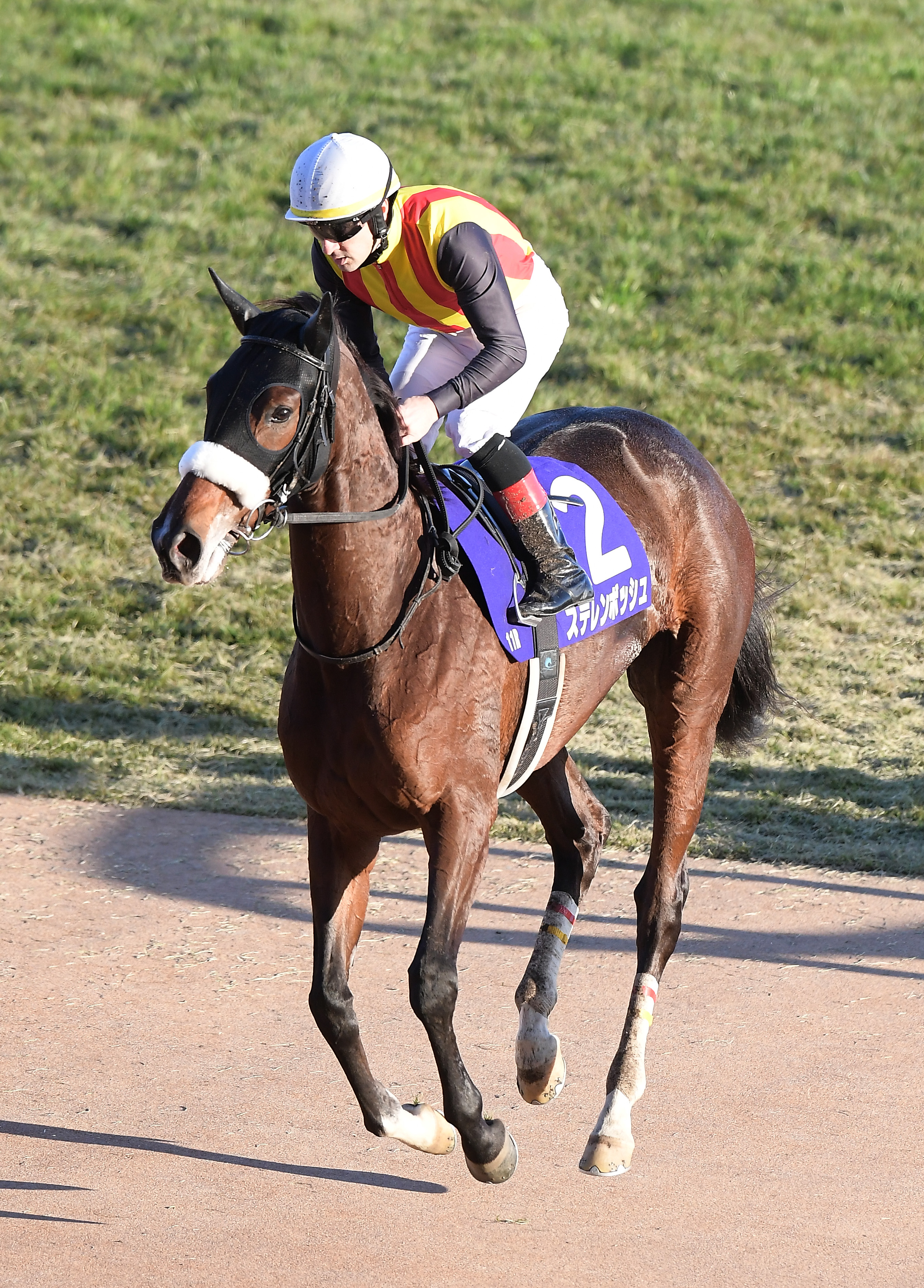 中山牝馬S】ステレンボッシュにボンドガール、パラディレーヌなど18頭