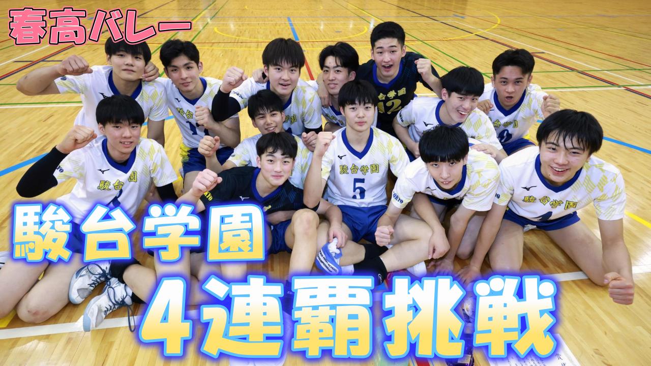 駿台学園 バレーボール ゲームパンツ 色違い 黄色 2枚 動画】春高バレー男子、駿台学園が4連覇に挑戦 2年生エース・畠昊太郎