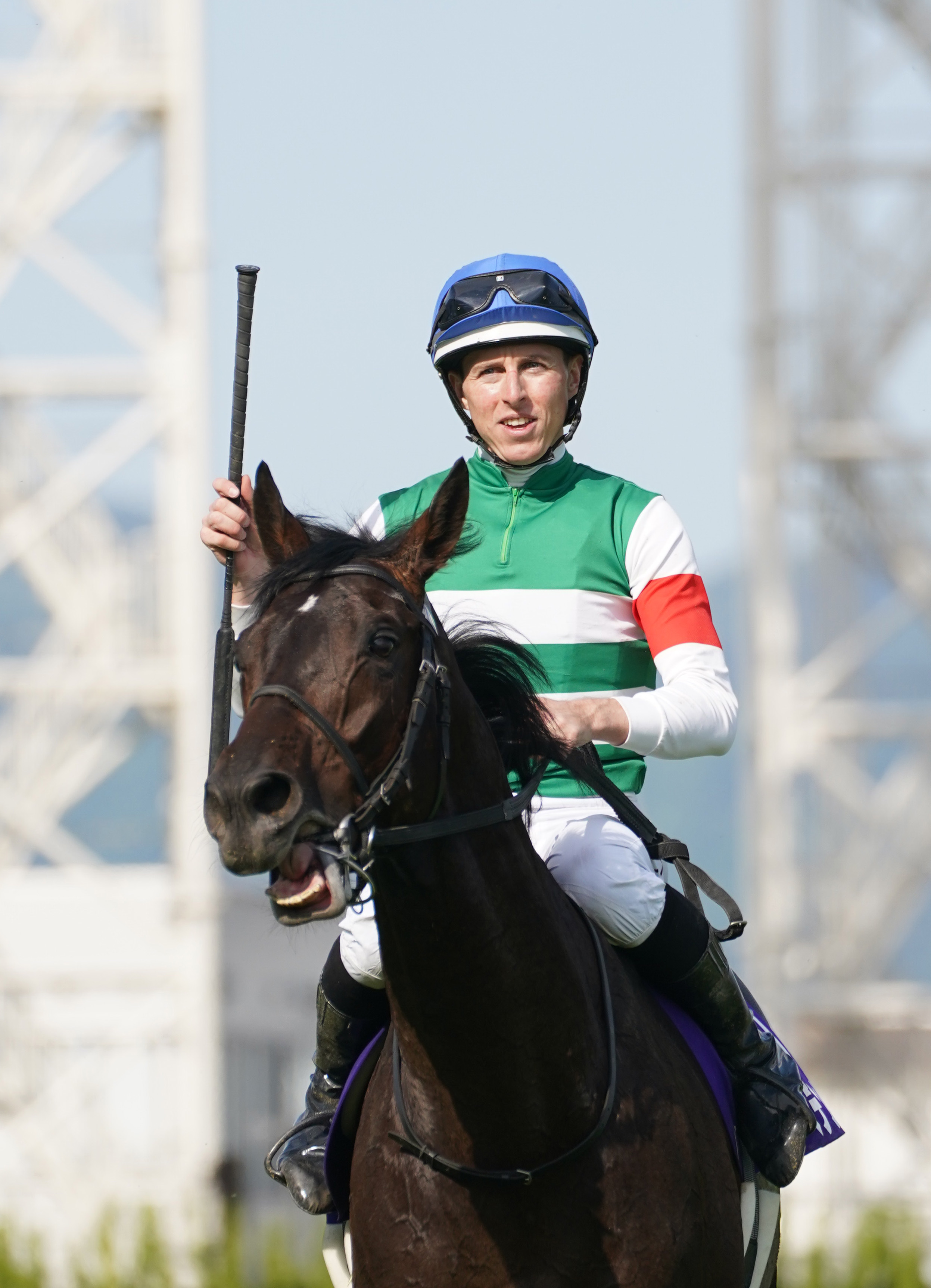 へデントール　メイクデビュー東京　現地単勝馬券　天皇賞・春制覇 天皇賞・春】激戦制したヘデントールが1番人気に応えてG1初制覇