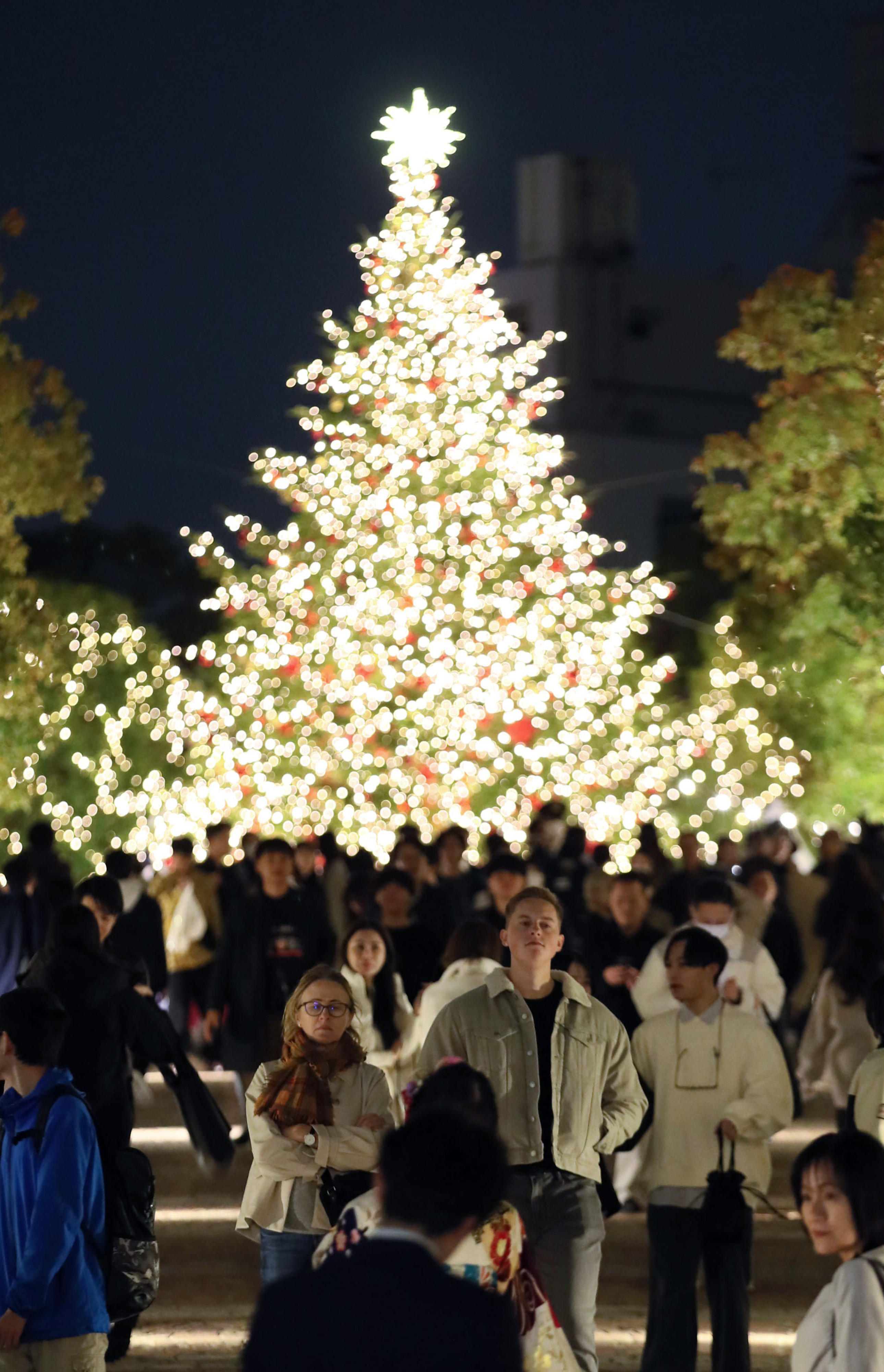 フォト】バカラシャンデリア華やかに クリスマスツリー、４年ぶりに