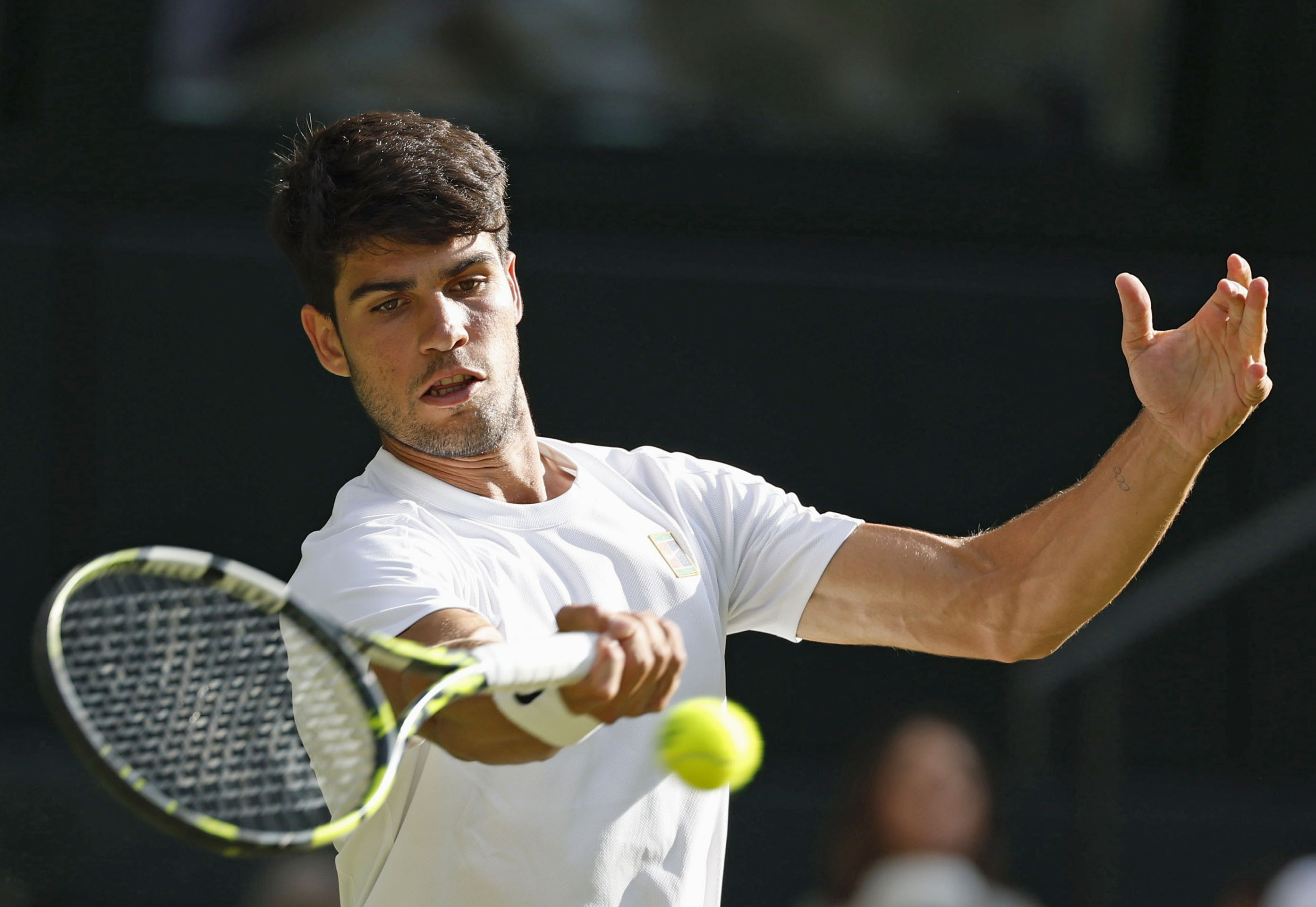 カルロスアルカラス ウィンブルドンウィナー 直筆サインフォト 2026年