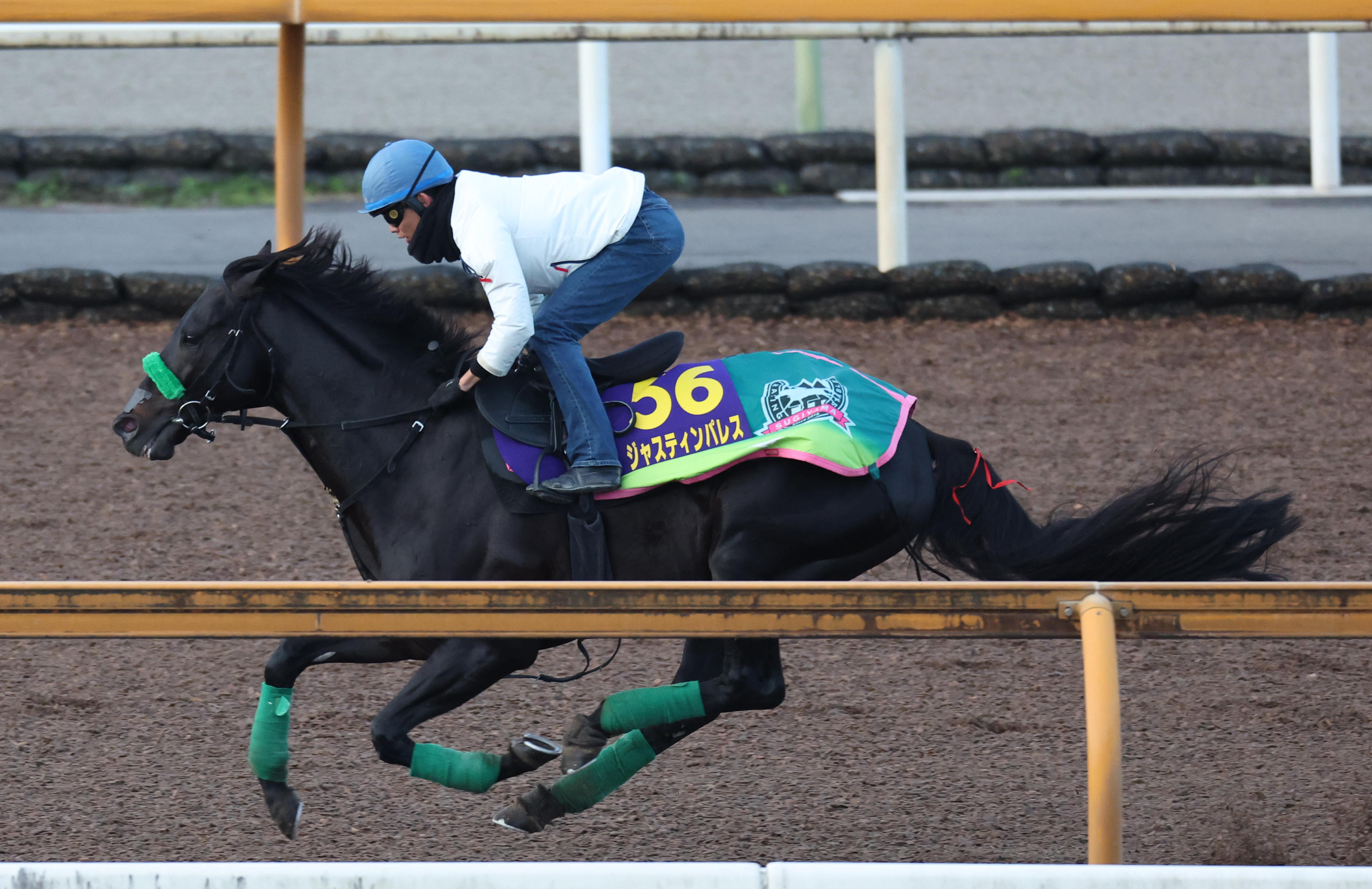 ジャパンC 追い切り】ジャスティンパレス気配上々 長めに追われ素軽い
