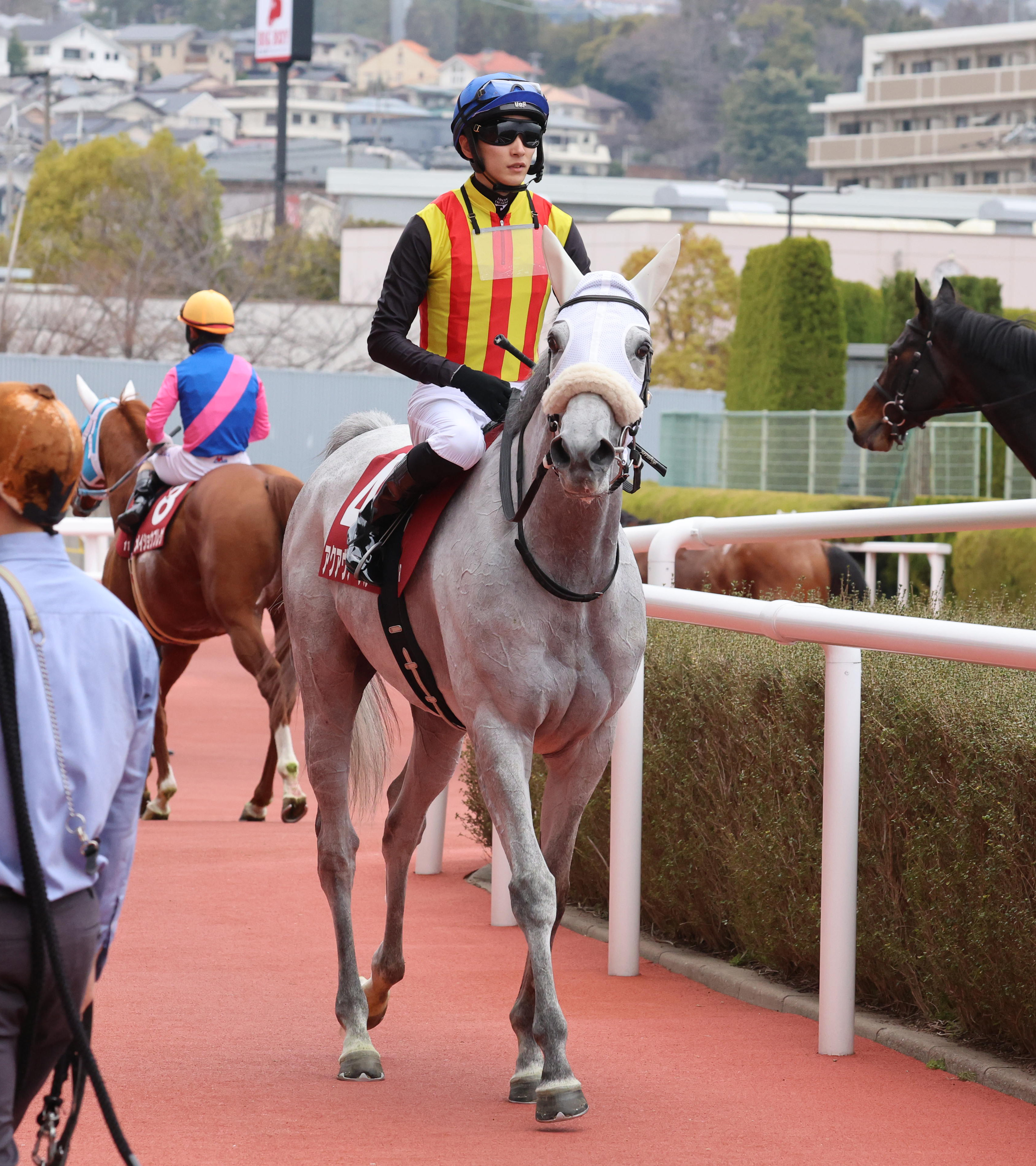 阪神大賞典】アクアヴァーナル踏ん張り2着 坂井瑠星騎手「力を出し切っ