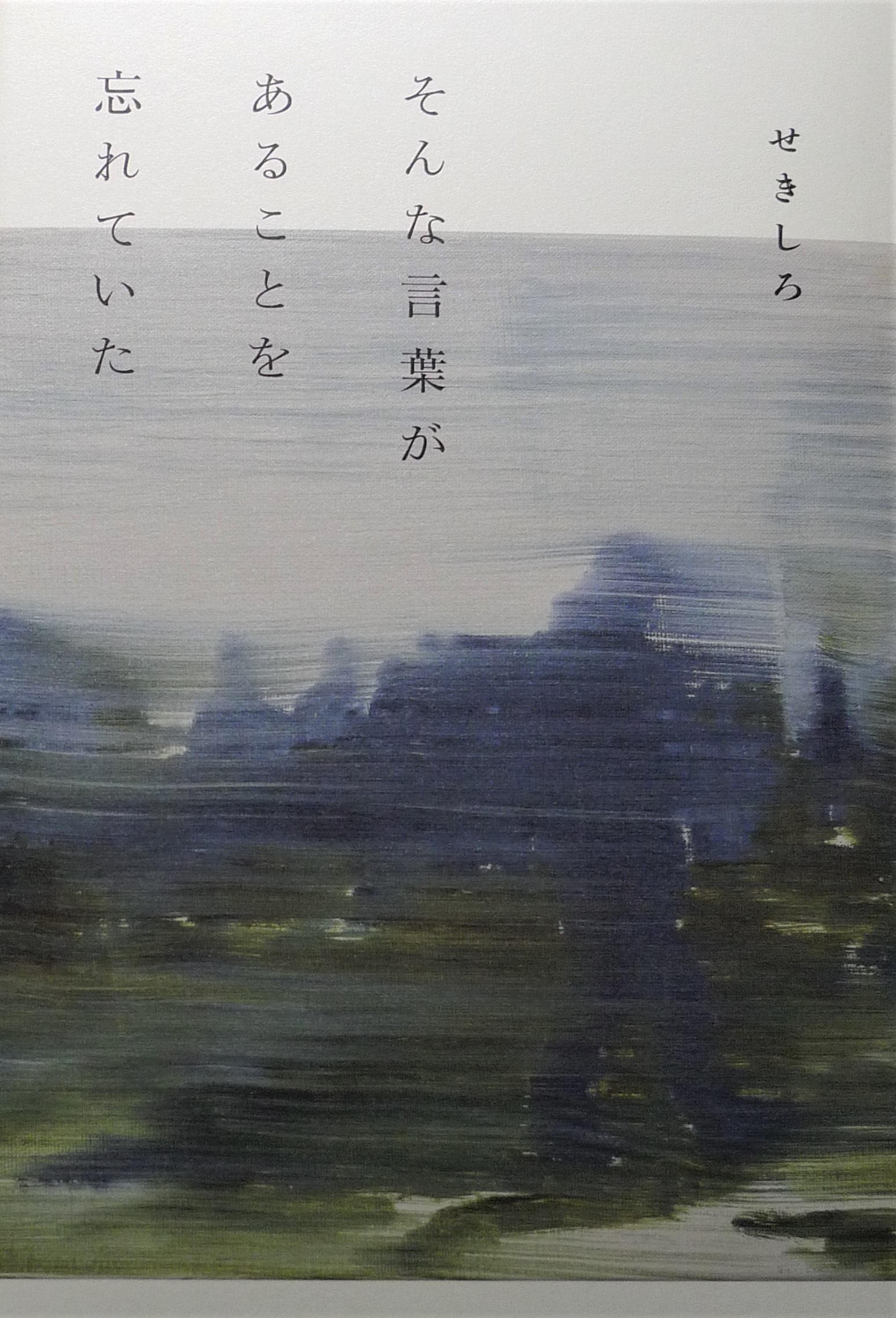 種田山頭火や尾崎放哉の遺伝子を受け継ぐ自由律俳句 ≪畳の目を数えて