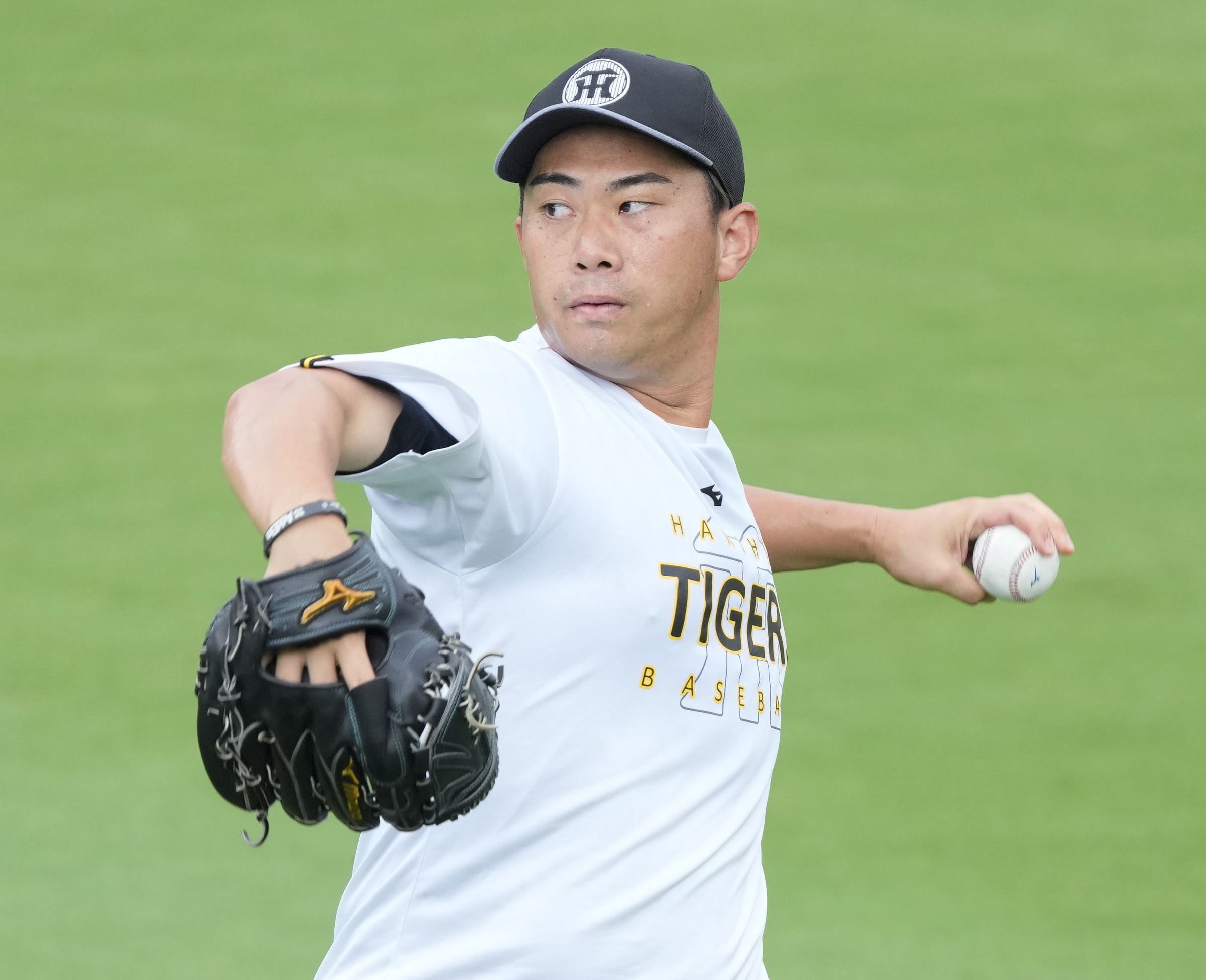 7*m様 阪神タイガース　桐敷拓馬　ユニホーム中古品 7*m様 阪神タイガース 桐敷拓馬 ユニホーム中古品 7*m様 阪神