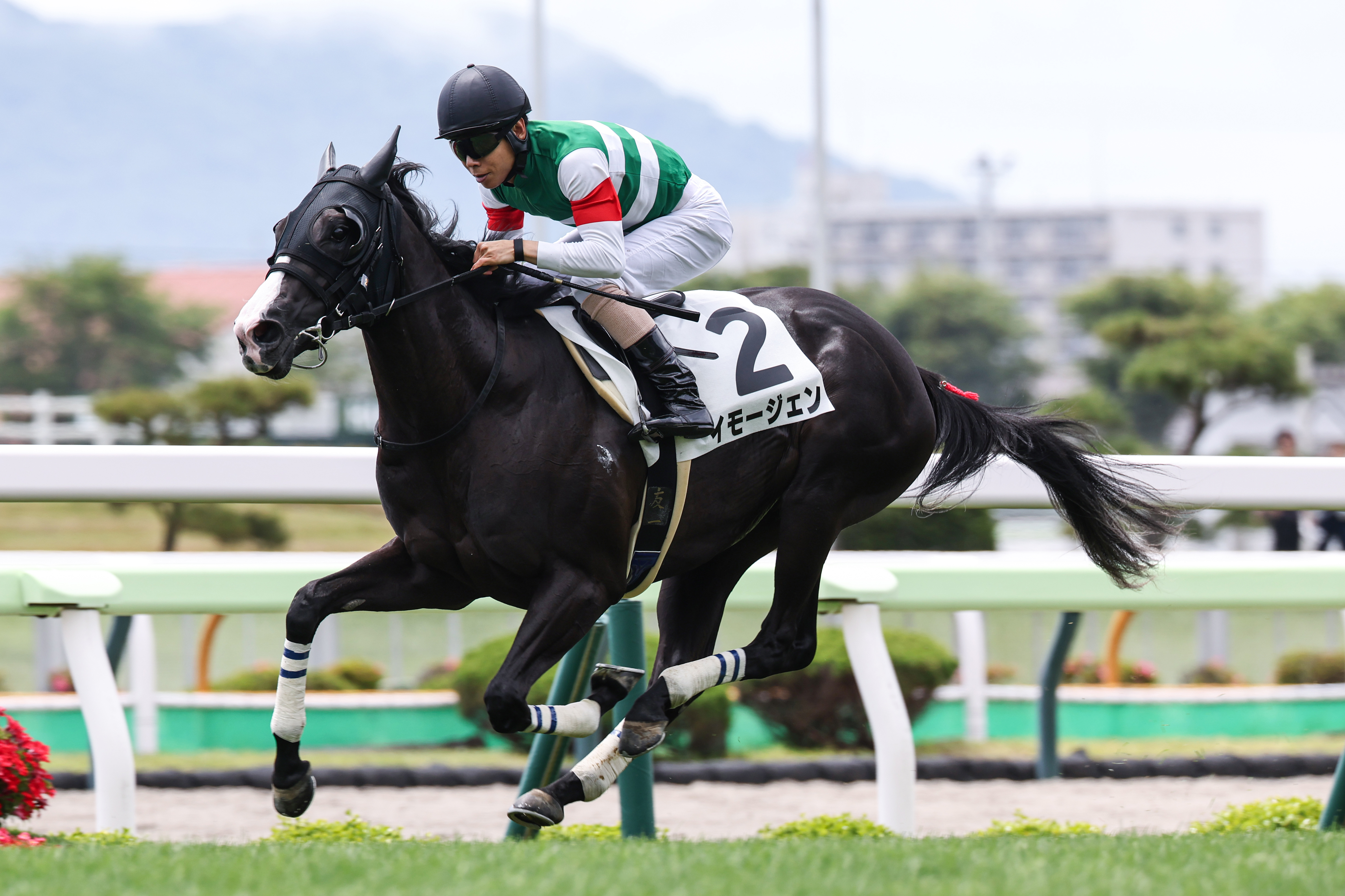 2歳新馬・函館5R】良血イモージェンが快勝！ 新種牡馬サリオス産駒は