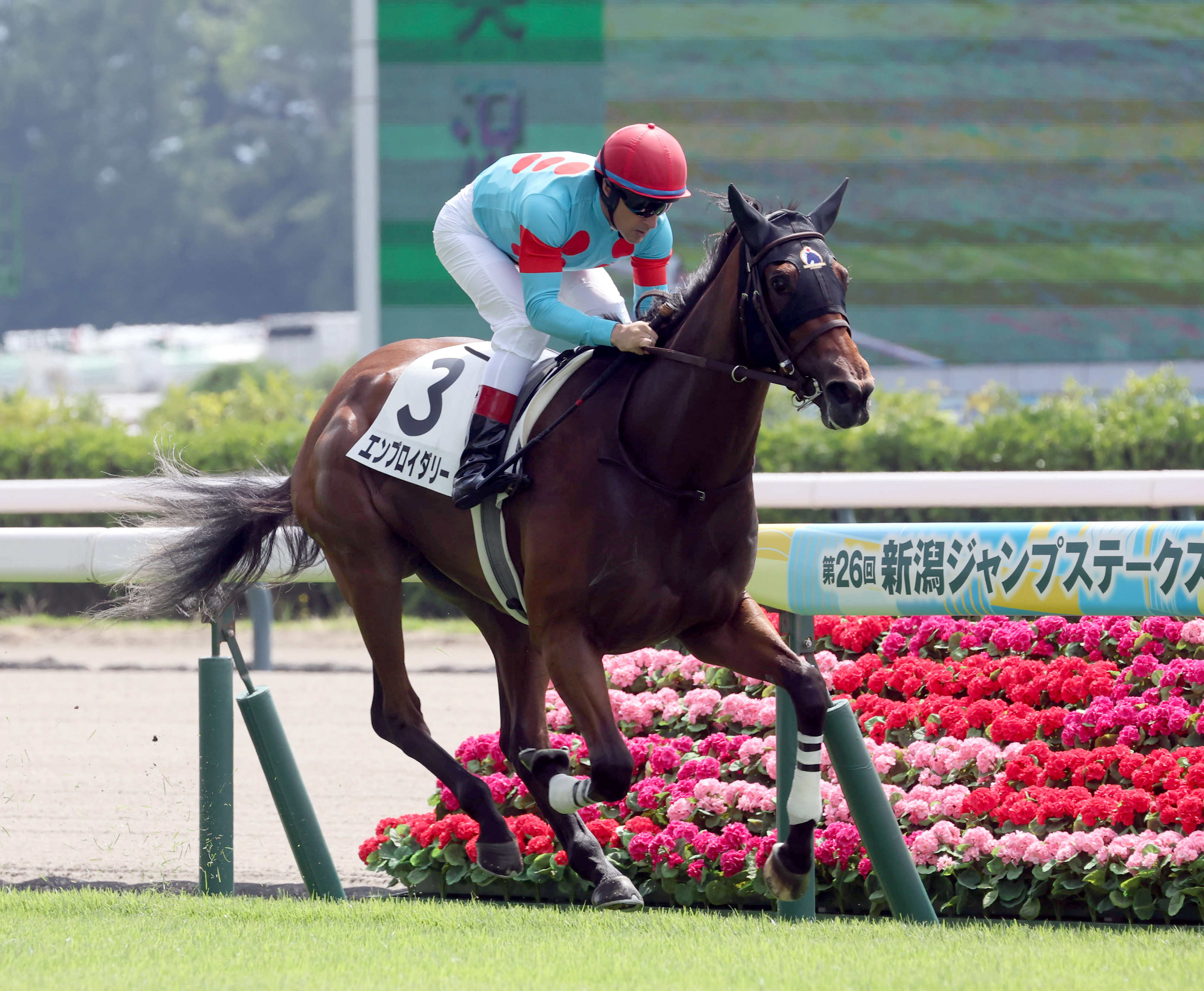 2歳未勝利・新潟1R】エンブロイダリーが2歳コースレコード圧勝
