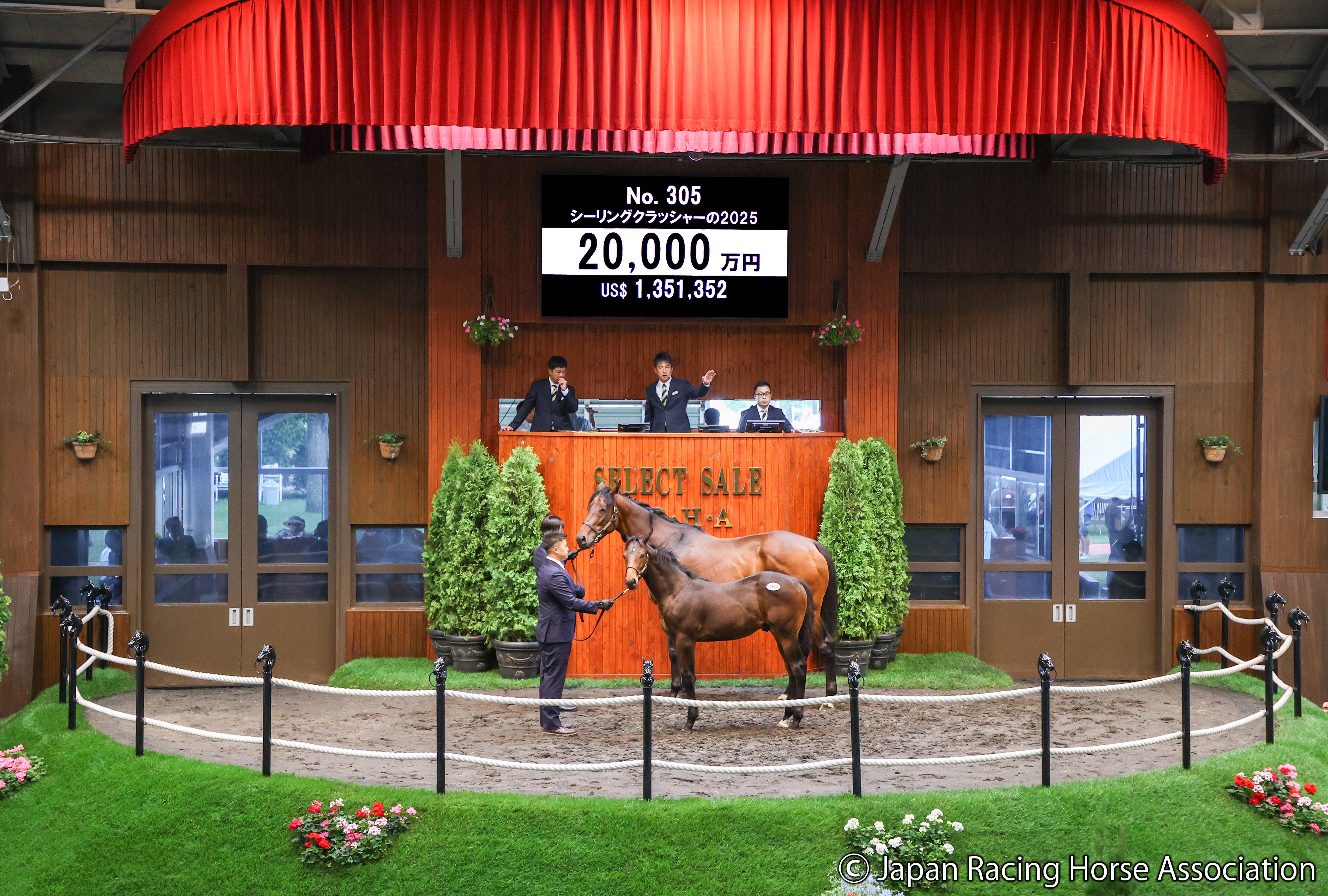 セレクトセール2025・2日目】今度は（株）ダノックスが高額落札