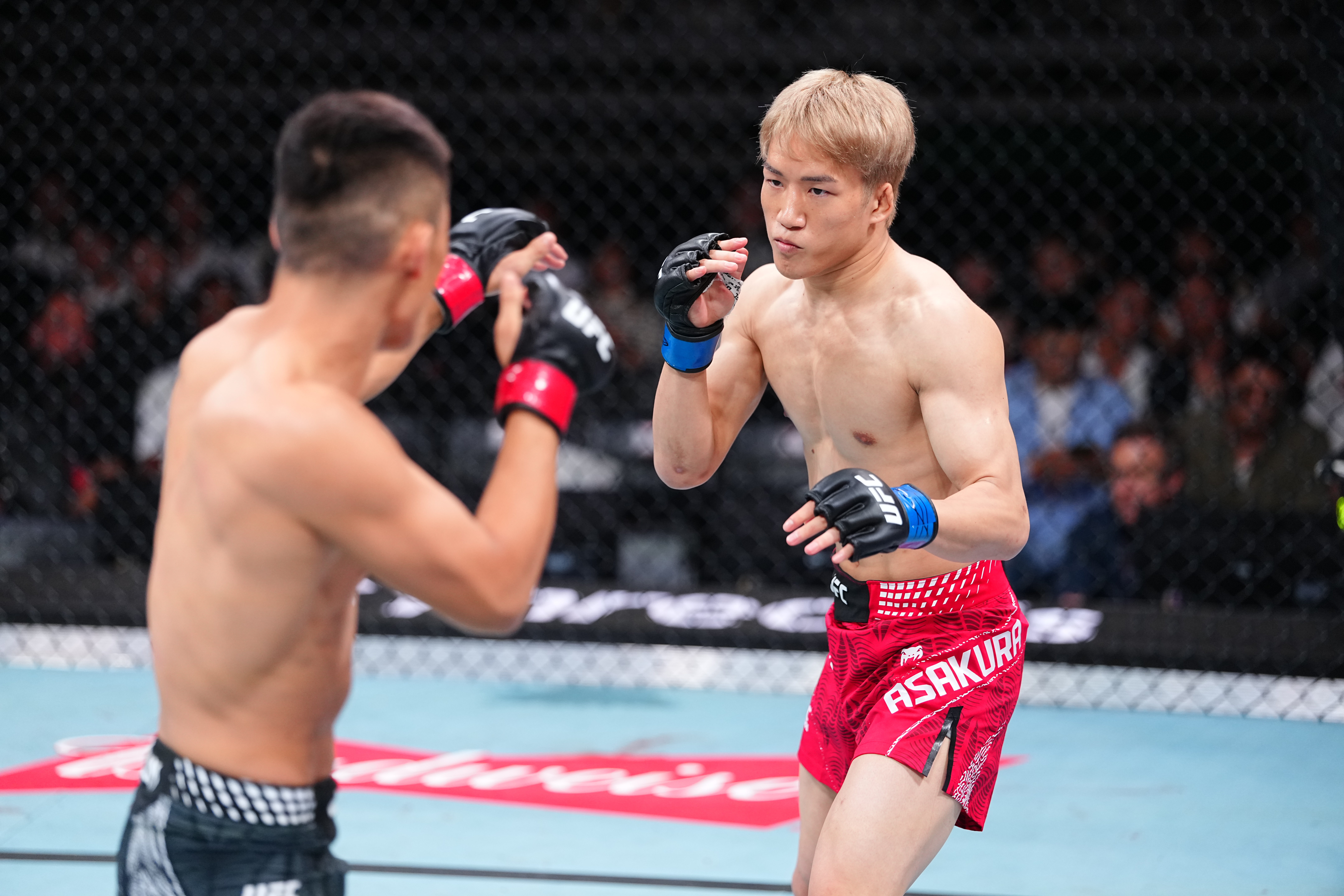朝倉 海 ufc 速報