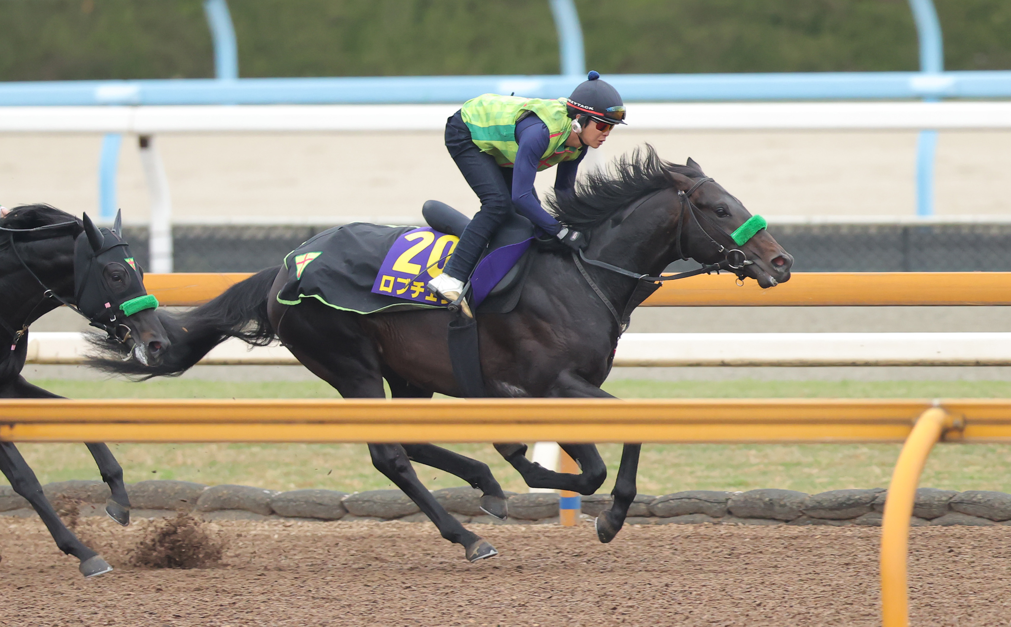 ミホシンザン 天皇賞春 現地的中単勝馬券 期限切れ 換金不可 ミホシンザン 天皇賞春 現地的中単勝馬券 期限切れ 換金不可 2025京都