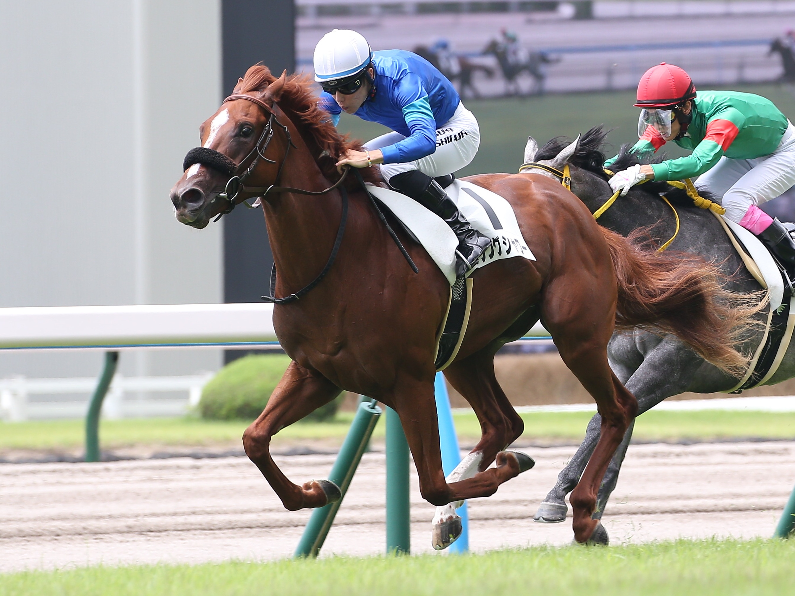 【小倉２歳Ｓ予想】同舞台の新馬戦を勝ったパッシングシャワーに ...