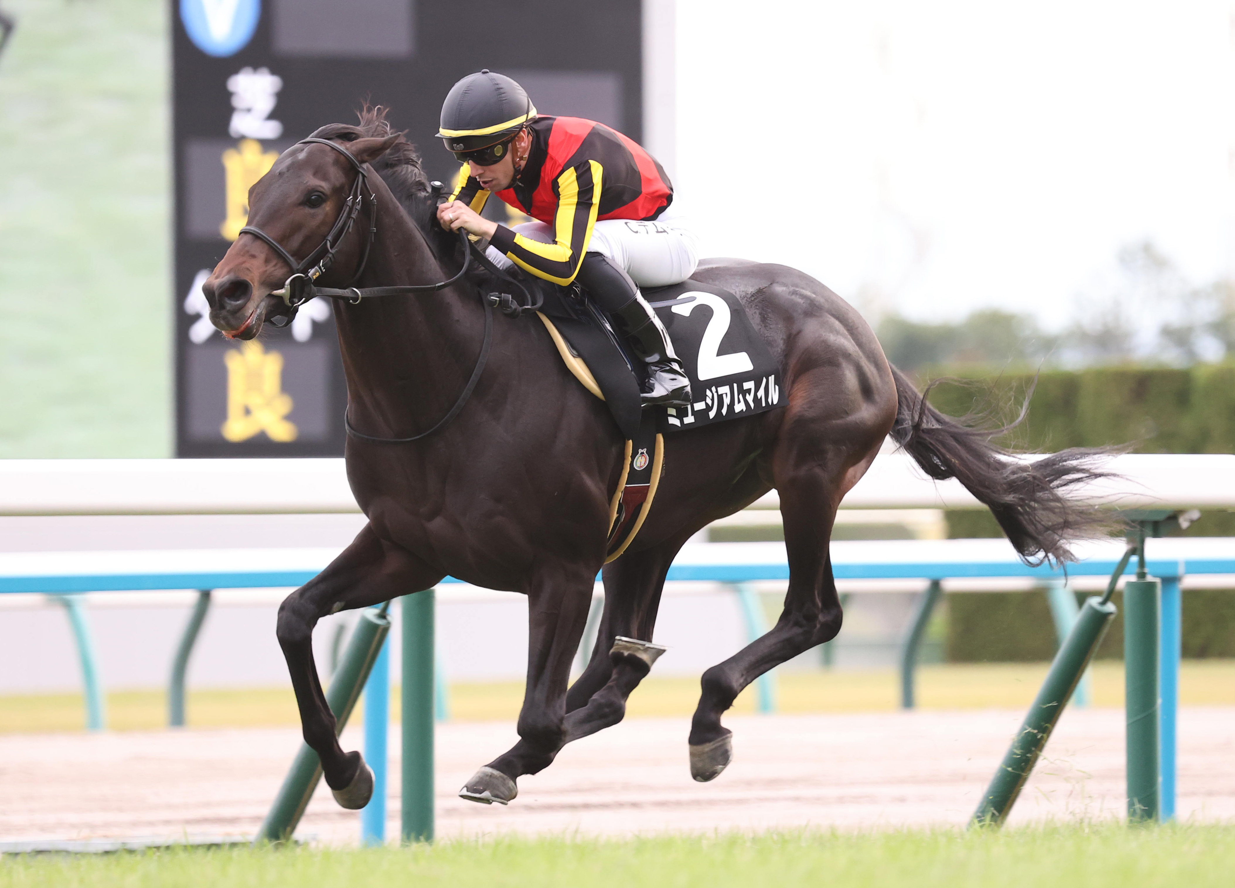 朝日杯FSの注目点】父子制覇かかるミュージアムマイル C・デムーロ騎手は2歳GⅠ完全制覇なるか - サンスポZBAT!