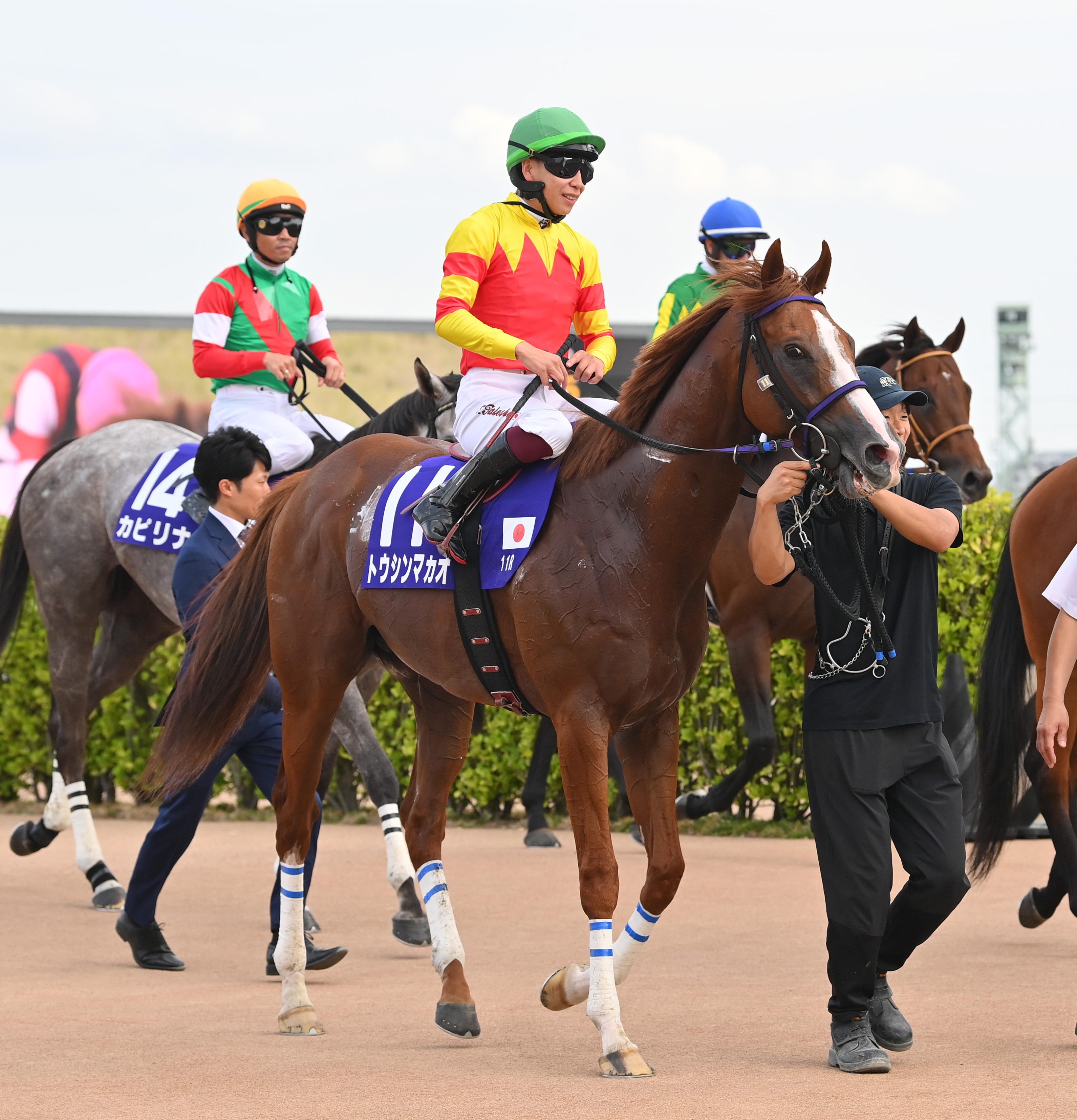 エーシンフォワード 2010年マイルCS 現地馬券13番人気5,240円 JRAホームページ｜データファイル｜競走成績データ