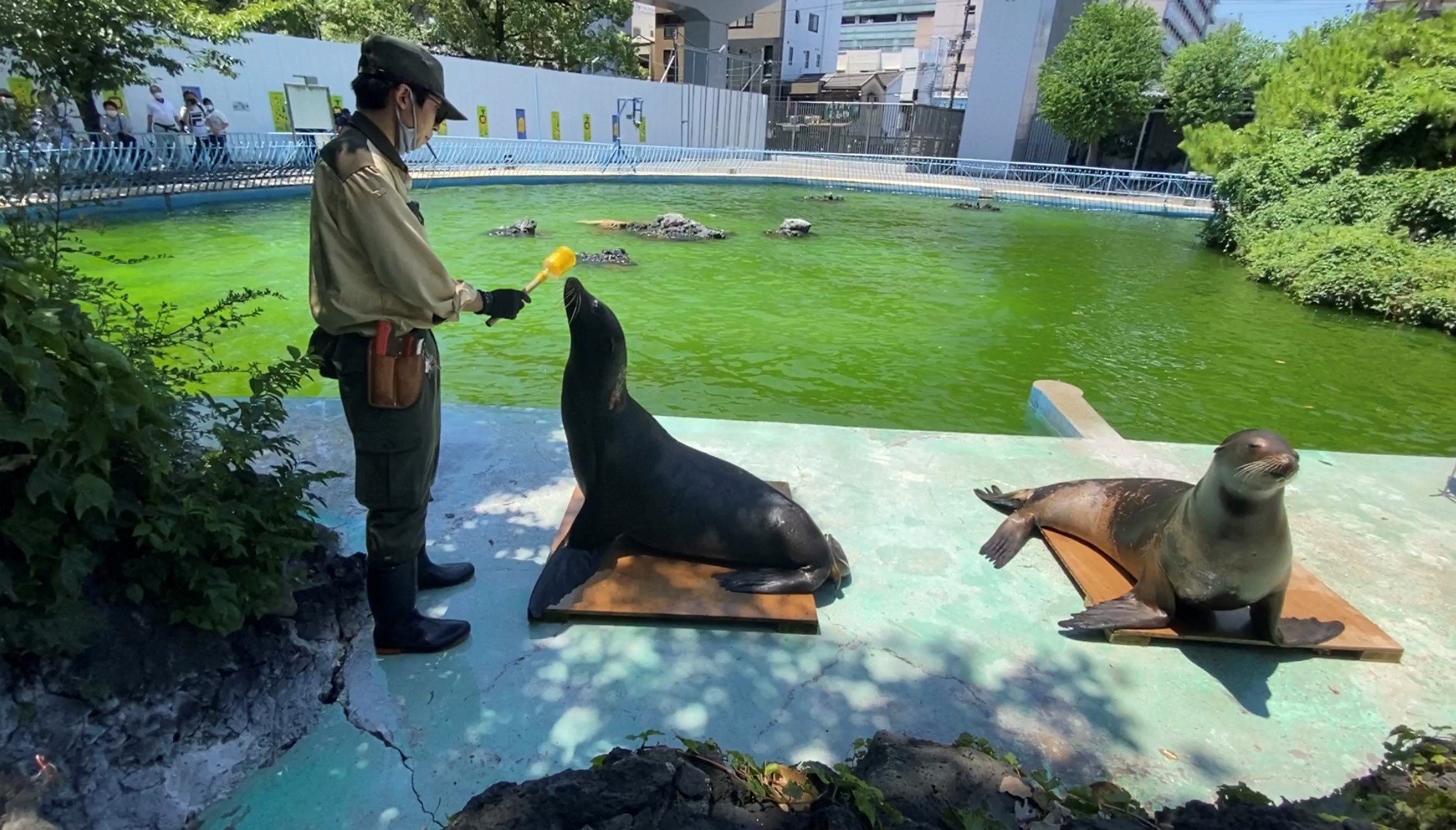 園長は獣医さん】飼育員は動物たちのエッセンシャルワーカー - 産経ニュース