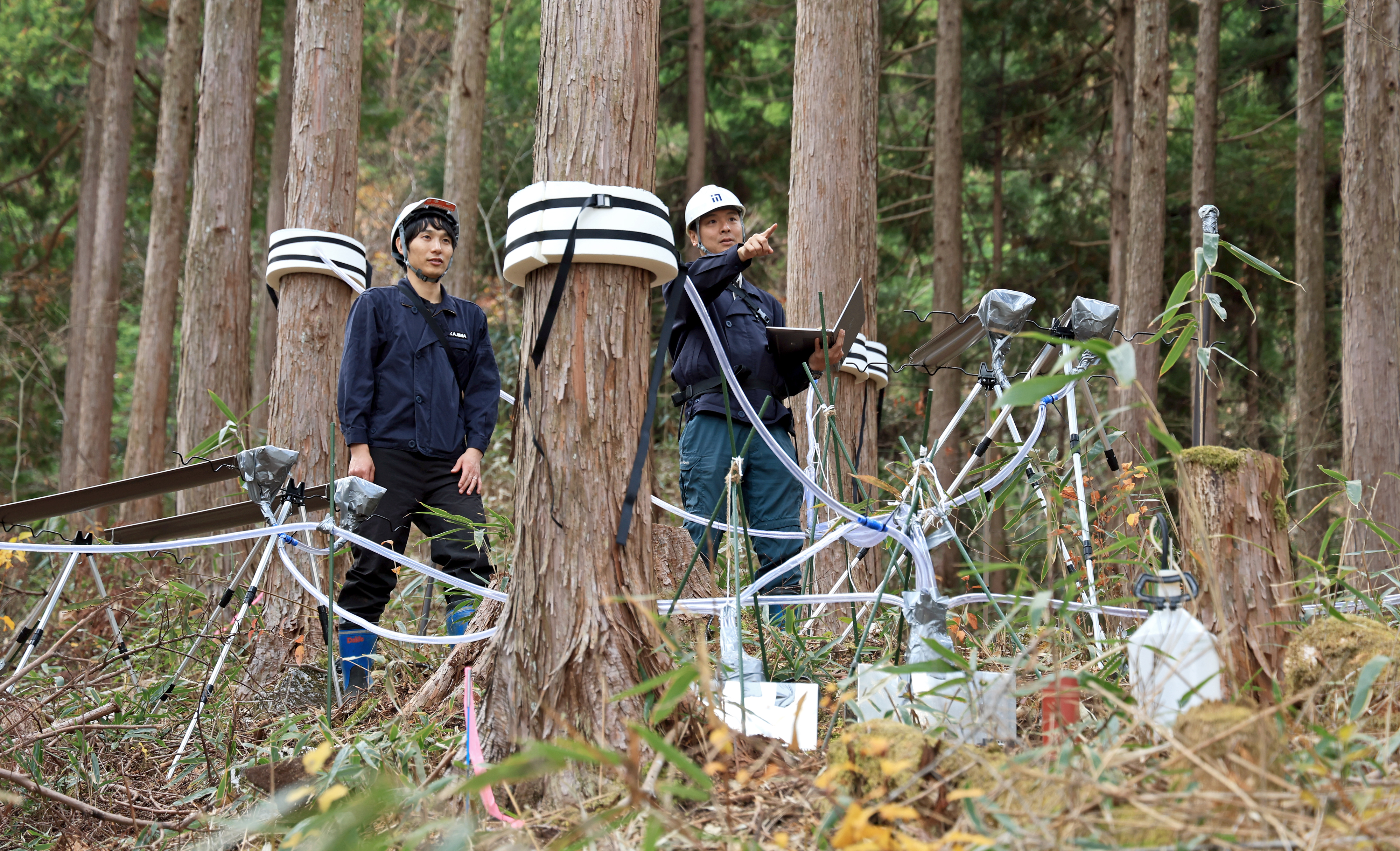 森の価値」解き明かせ 山の高齢化防止へ、鹿島と仁淀川町の挑戦