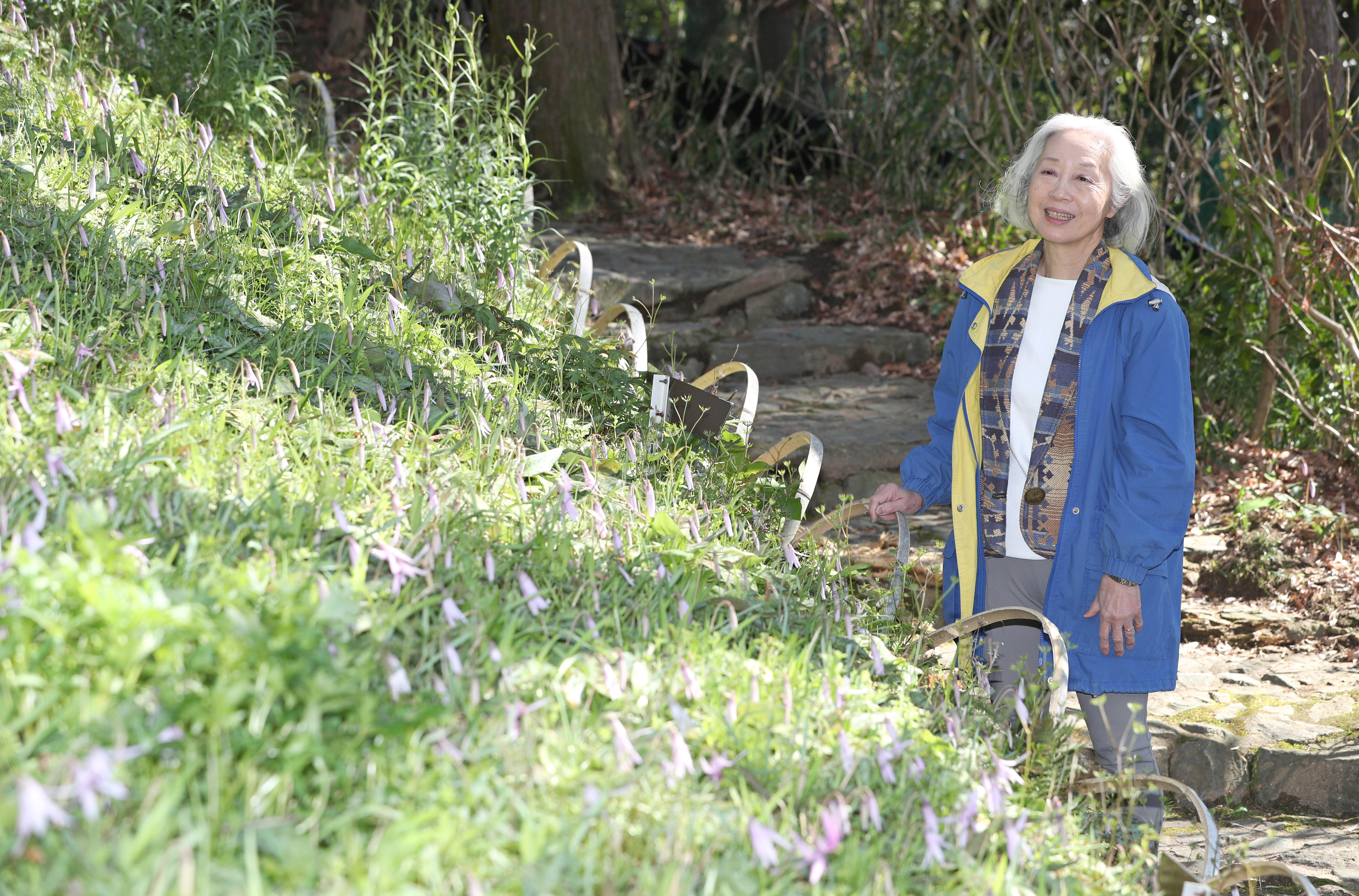 一聞百見】「洪庵の薬箱」謎解きに挑む 大阪大学総合学術博物館招へい