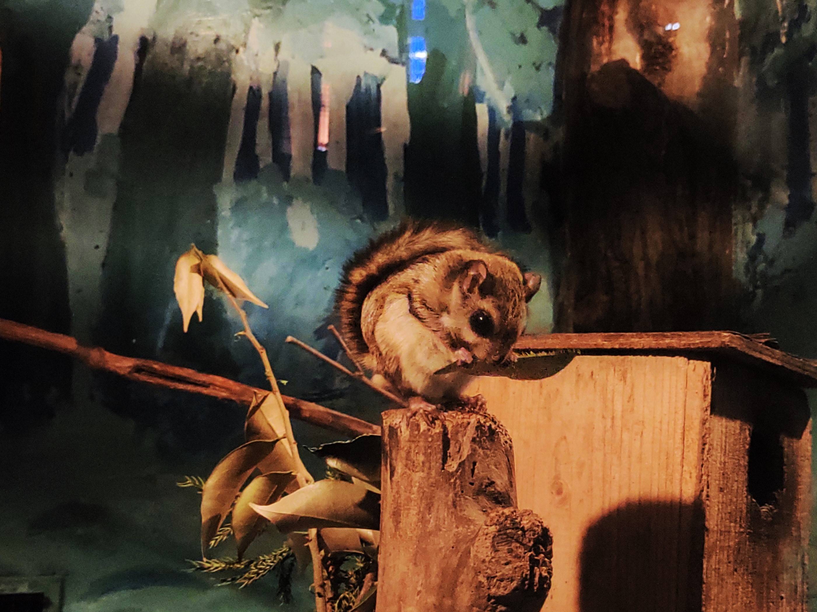 ＦＩＧＨＴ１０ いきもの巡り】水族館に動物を展示する理由 アクア