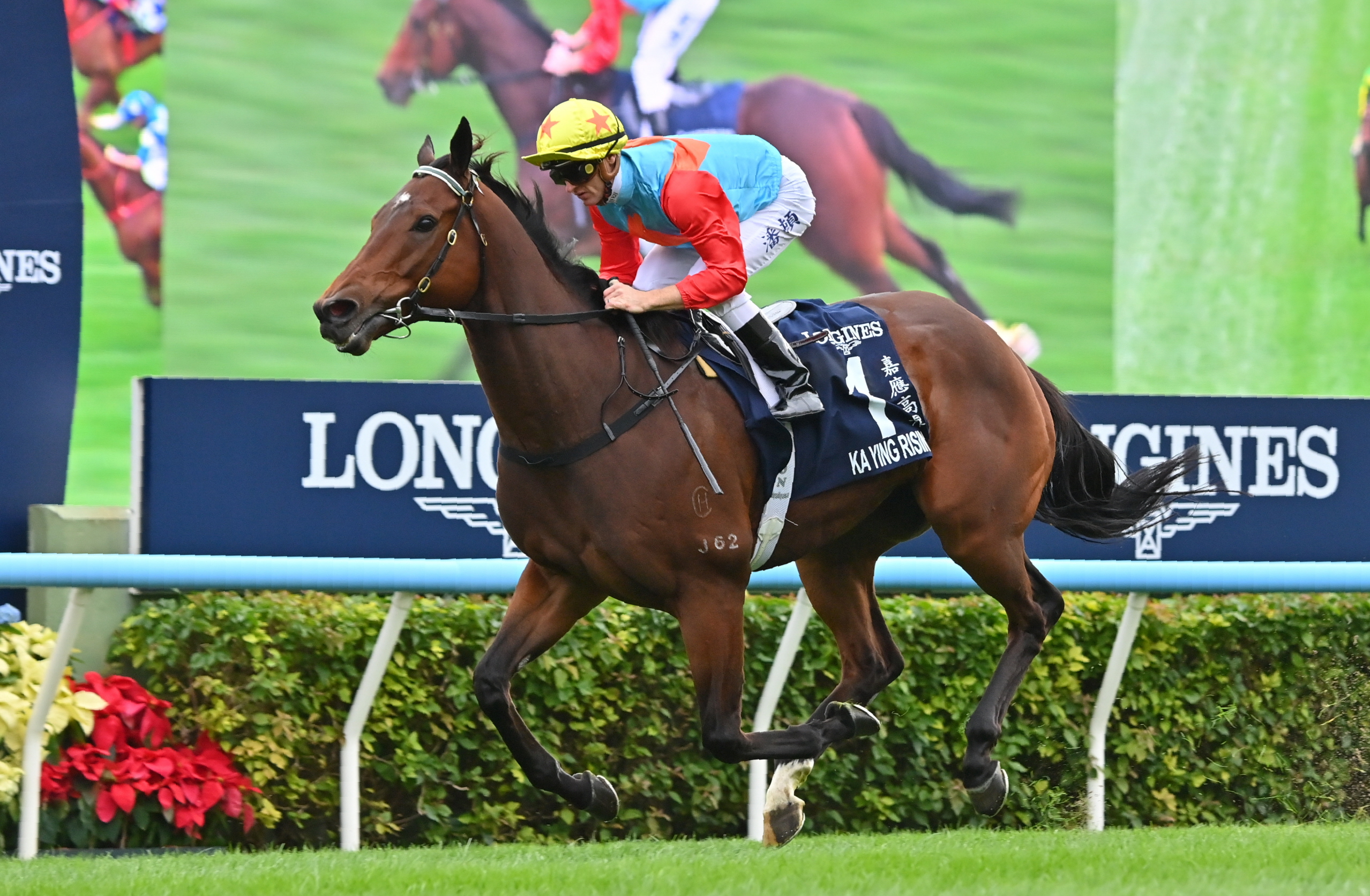 香港スプリント】カーインライジングが無敵の16連勝で連覇達成！ 馬