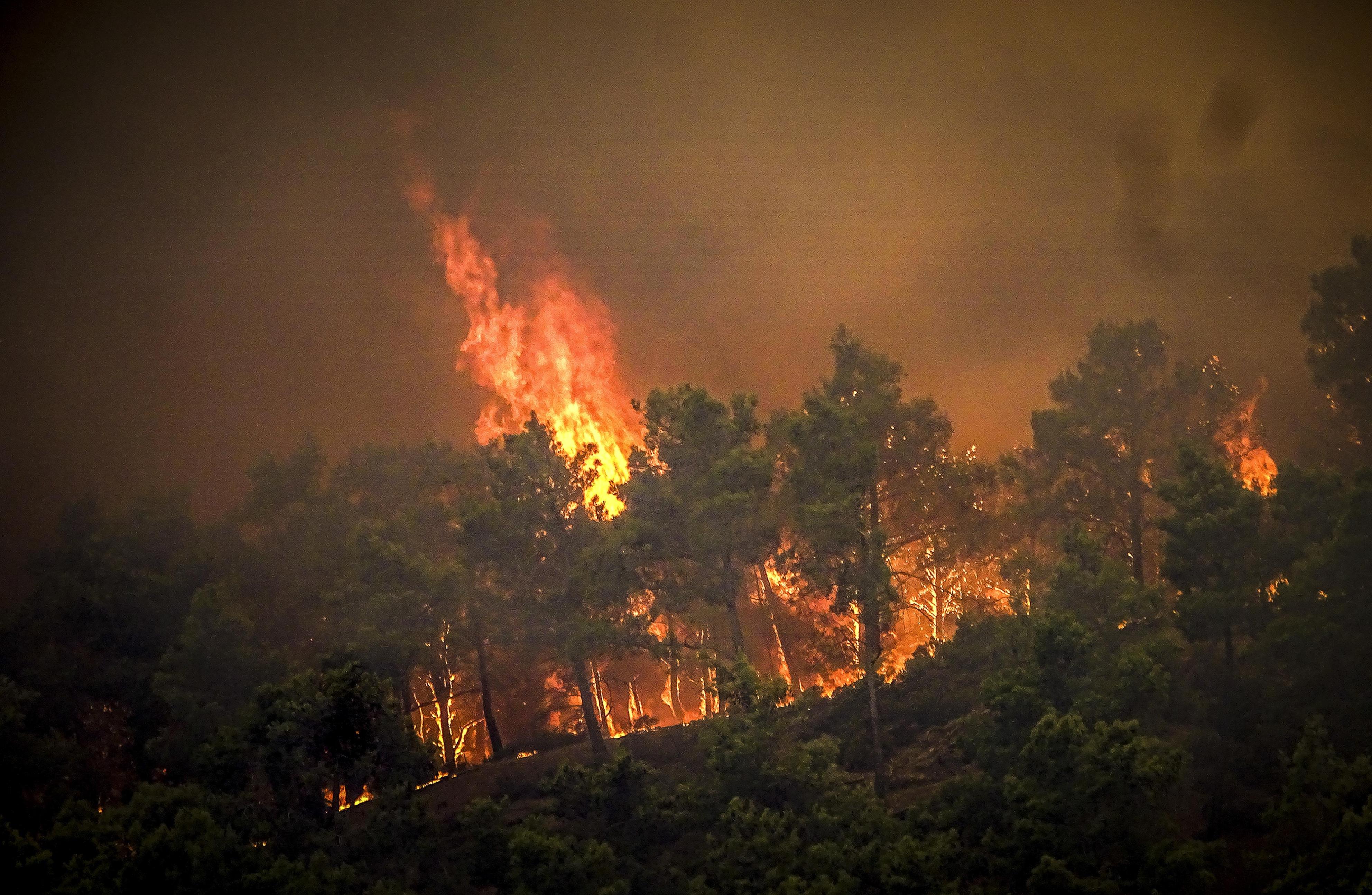 フォト】ギリシャ・ロードス島で山火事拡大、観光客ら約２千人避難